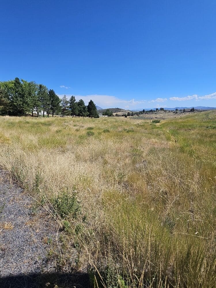 20250729_152301_resized. Photo 4 of 8, 0 Alisa Lane Unit Lot 1, Klamath Falls, OR 97601