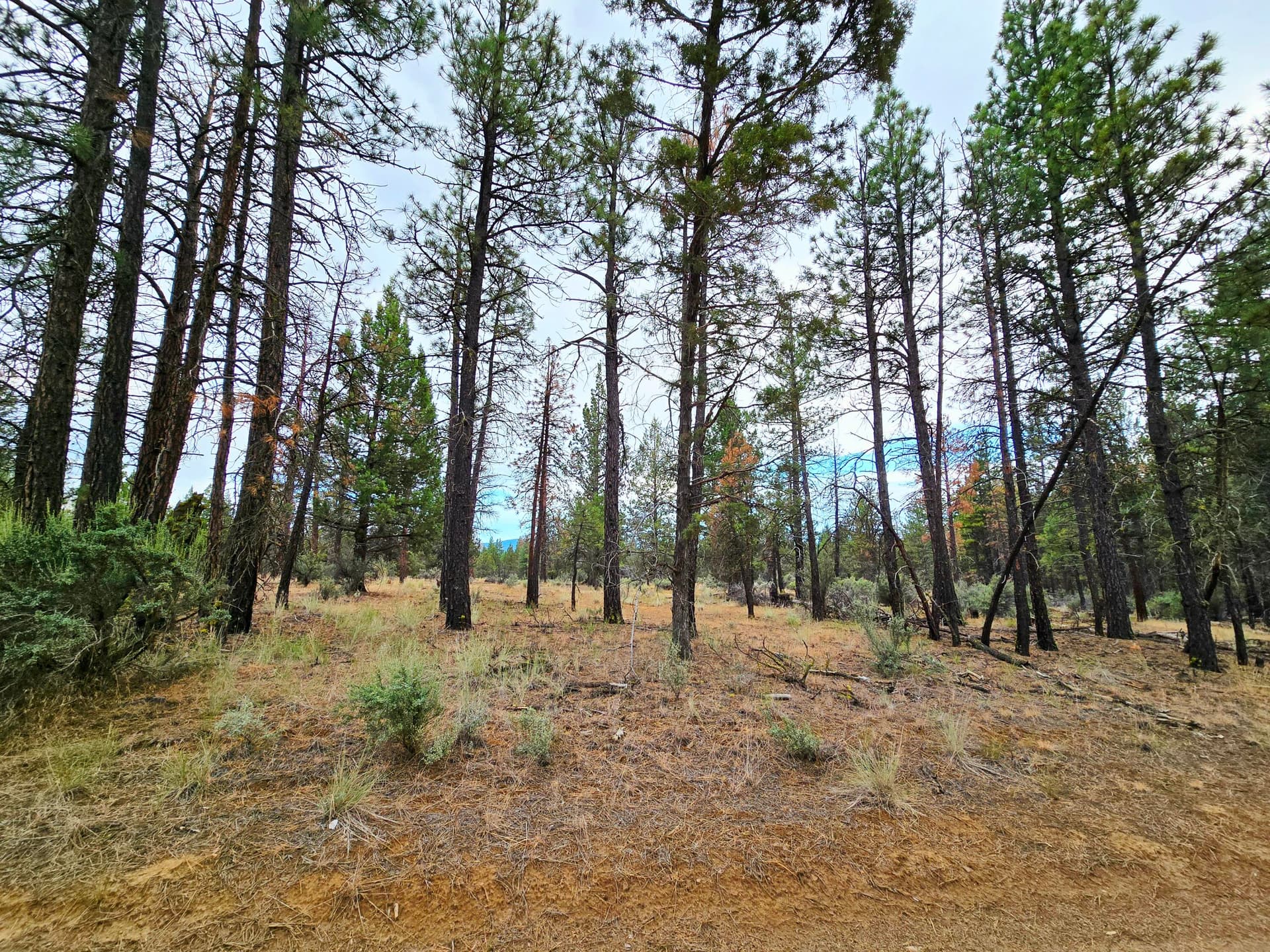 20250731_192443. Photo 2 of 21, Wampum Lane Unit 17, Sprague River, OR 97639