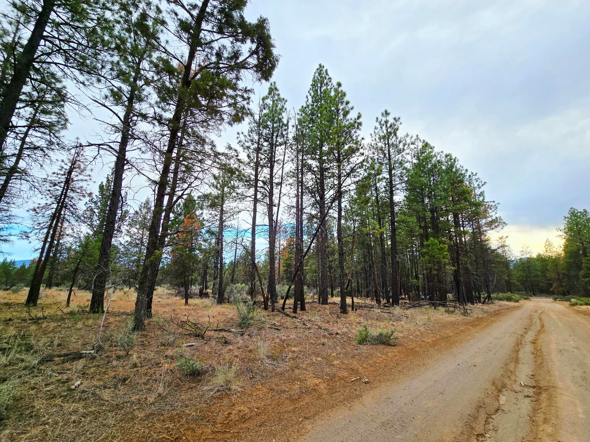 20250731_192446. Photo 3 of 21, Wampum Lane Unit 17, Sprague River, OR 97639