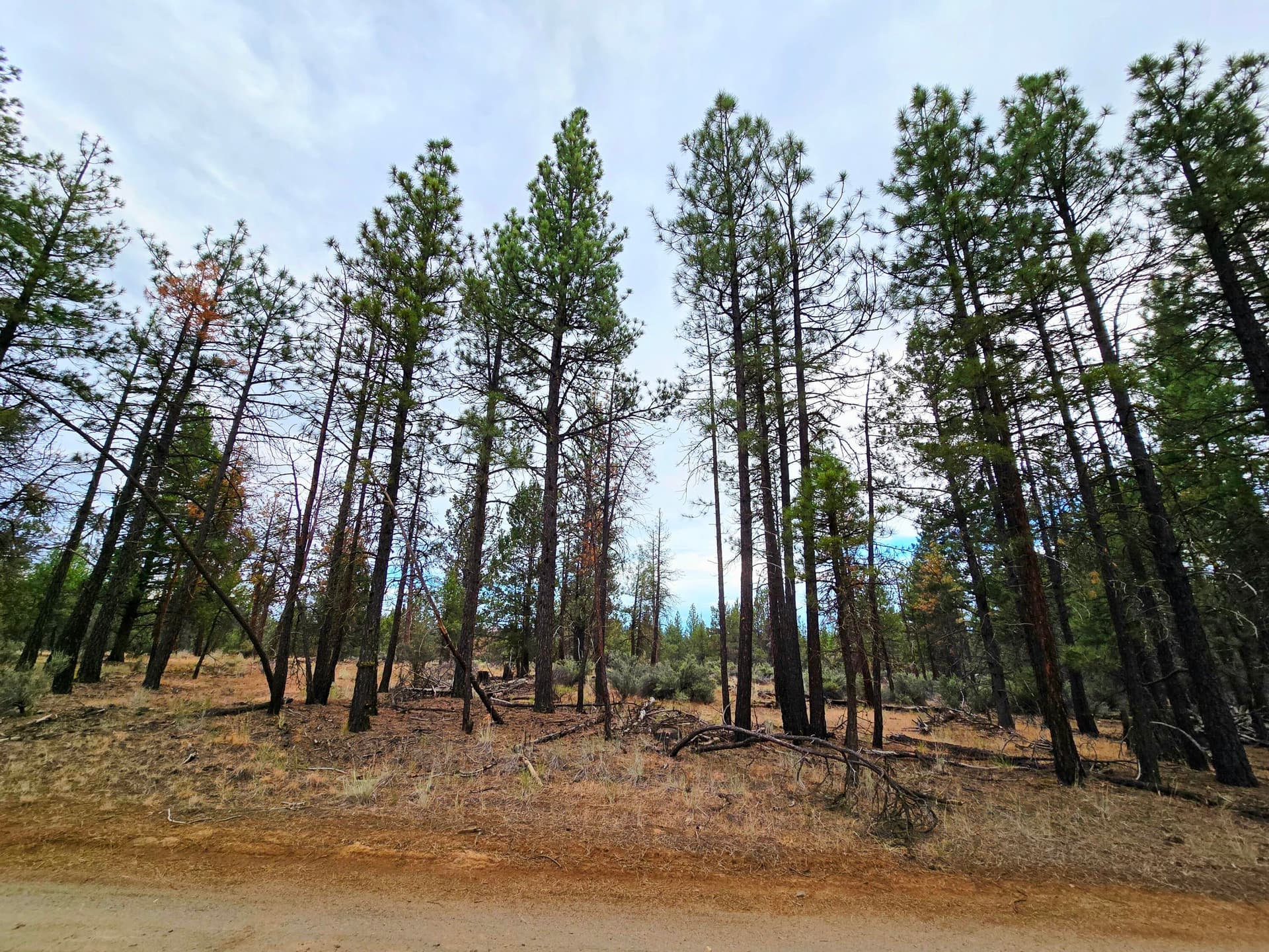 20250731_192629. Photo 1 of 21, Wampum Lane Unit 17, Sprague River, OR 97639