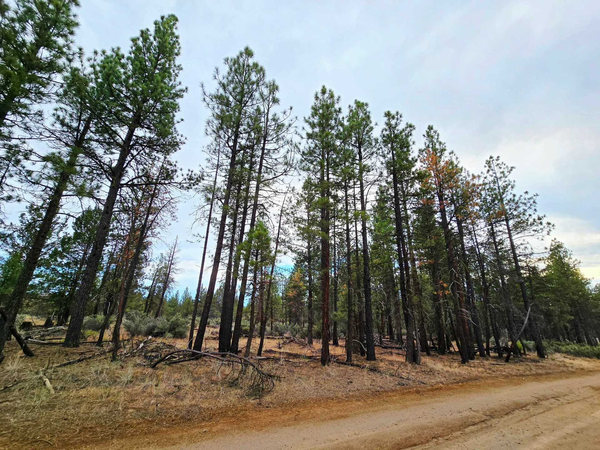 20250731_192631. Photo 4 of 21, Wampum Lane Unit 17, Sprague River, OR 97639