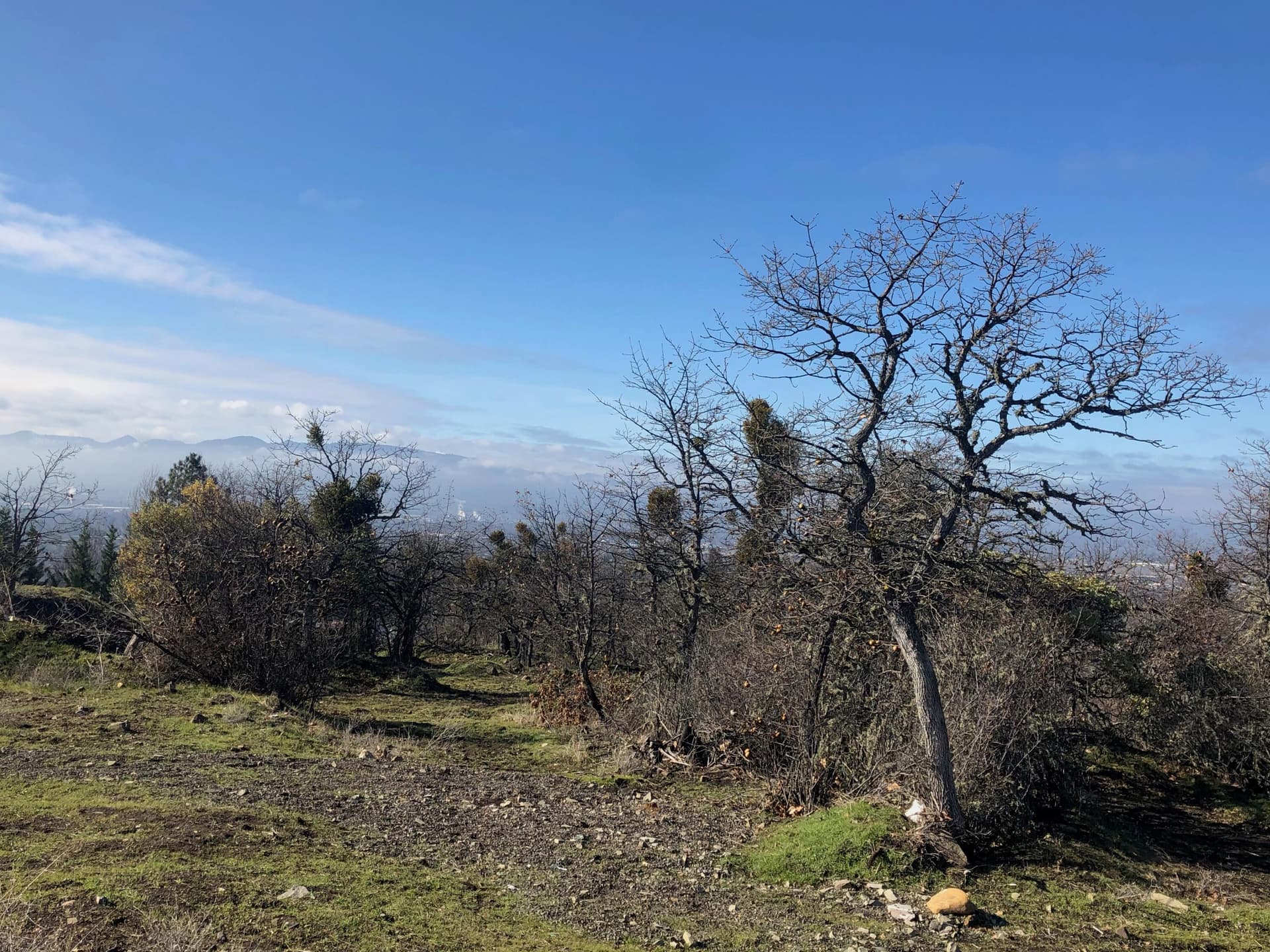 Photo from top of property. Photo 1 of 1, 2410 N Foothill Road, Medford, OR 97504