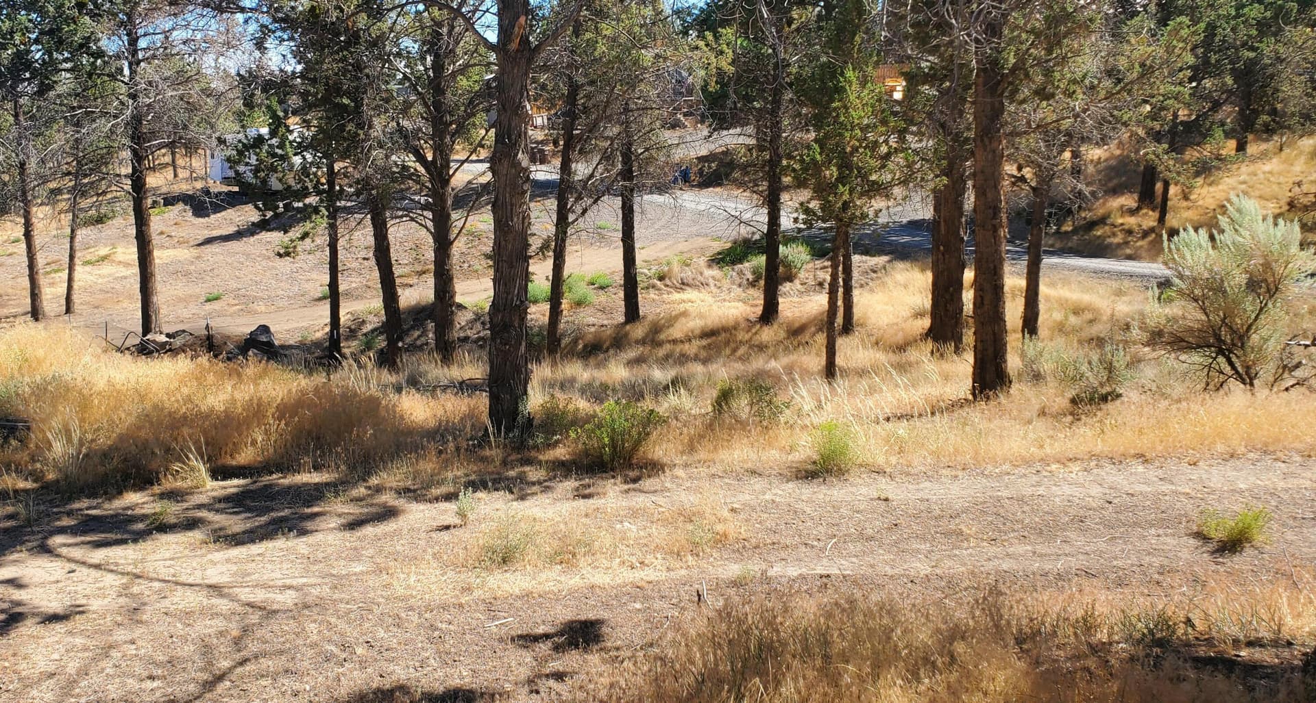 20250804_155643. Photo 5 of 11, NW Circle Street Unit TL1700, Prineville, OR 97754