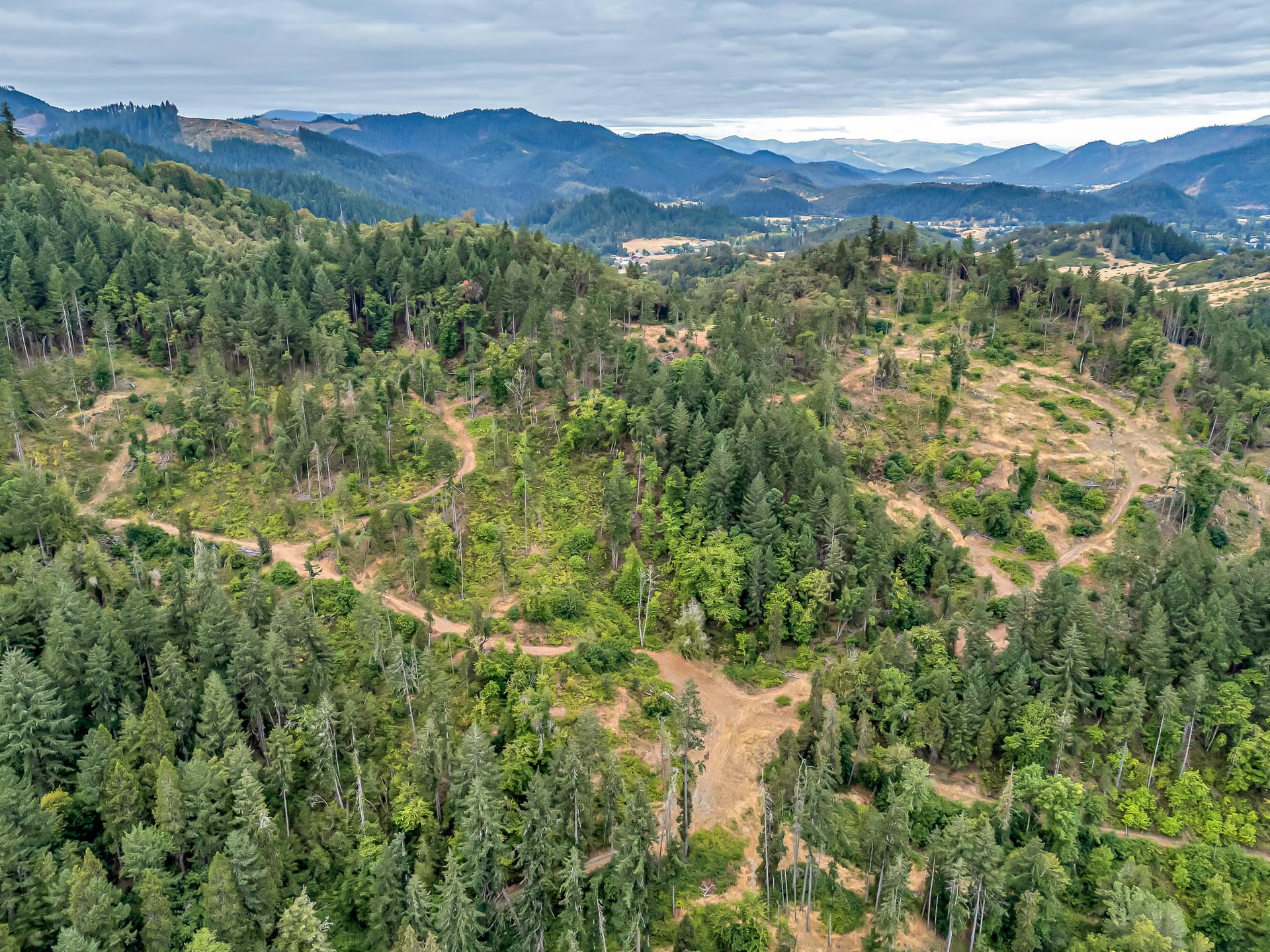 DJI_20250804075309_0001_D. Photo 3 of 19, 0 N Myrtle Road, Myrtle Creek, OR 97457