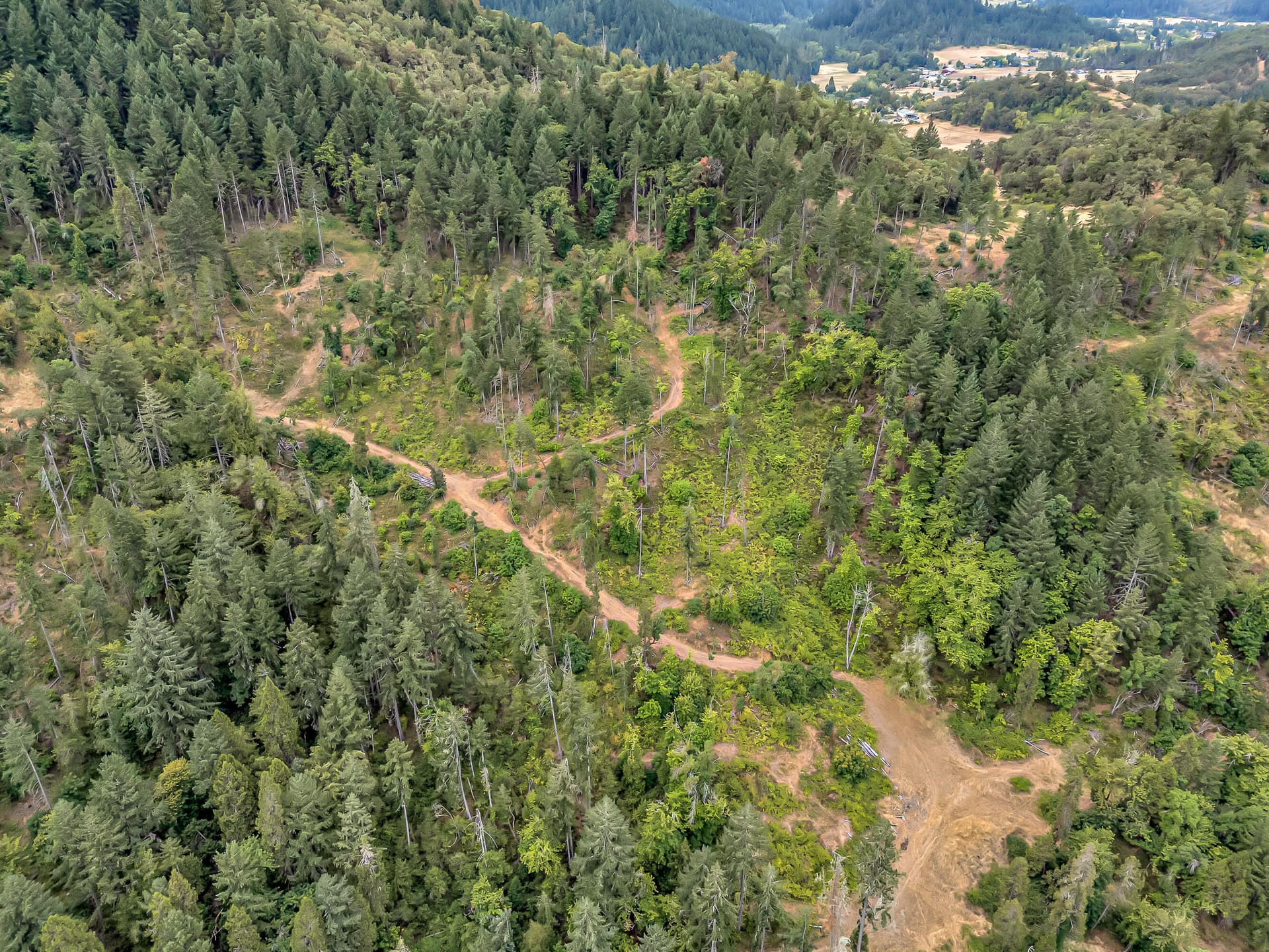 DJI_20250804075321_0004_D. Photo 4 of 19, 0 N Myrtle Road, Myrtle Creek, OR 97457