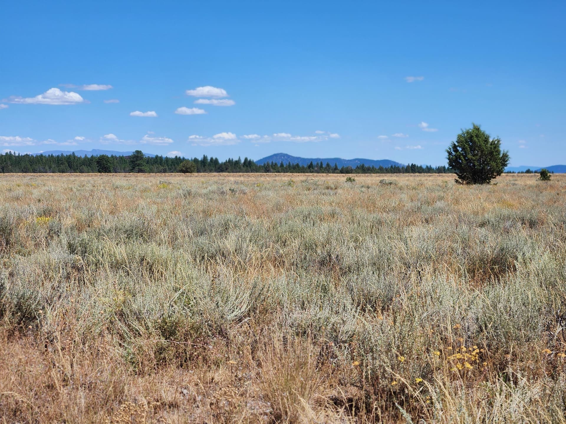 1. Photo 1 of 20, Tableland Road, Sprague River, OR 97639