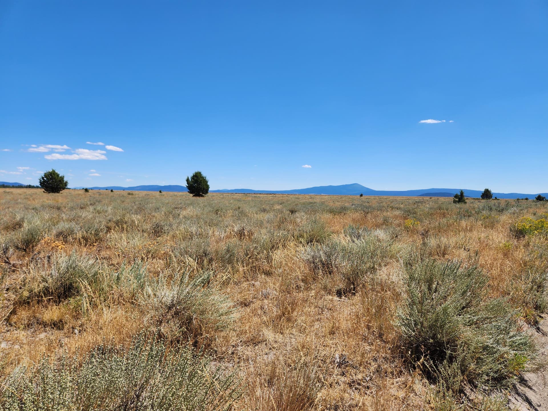 2. Photo 3 of 20, Tableland Road, Sprague River, OR 97639