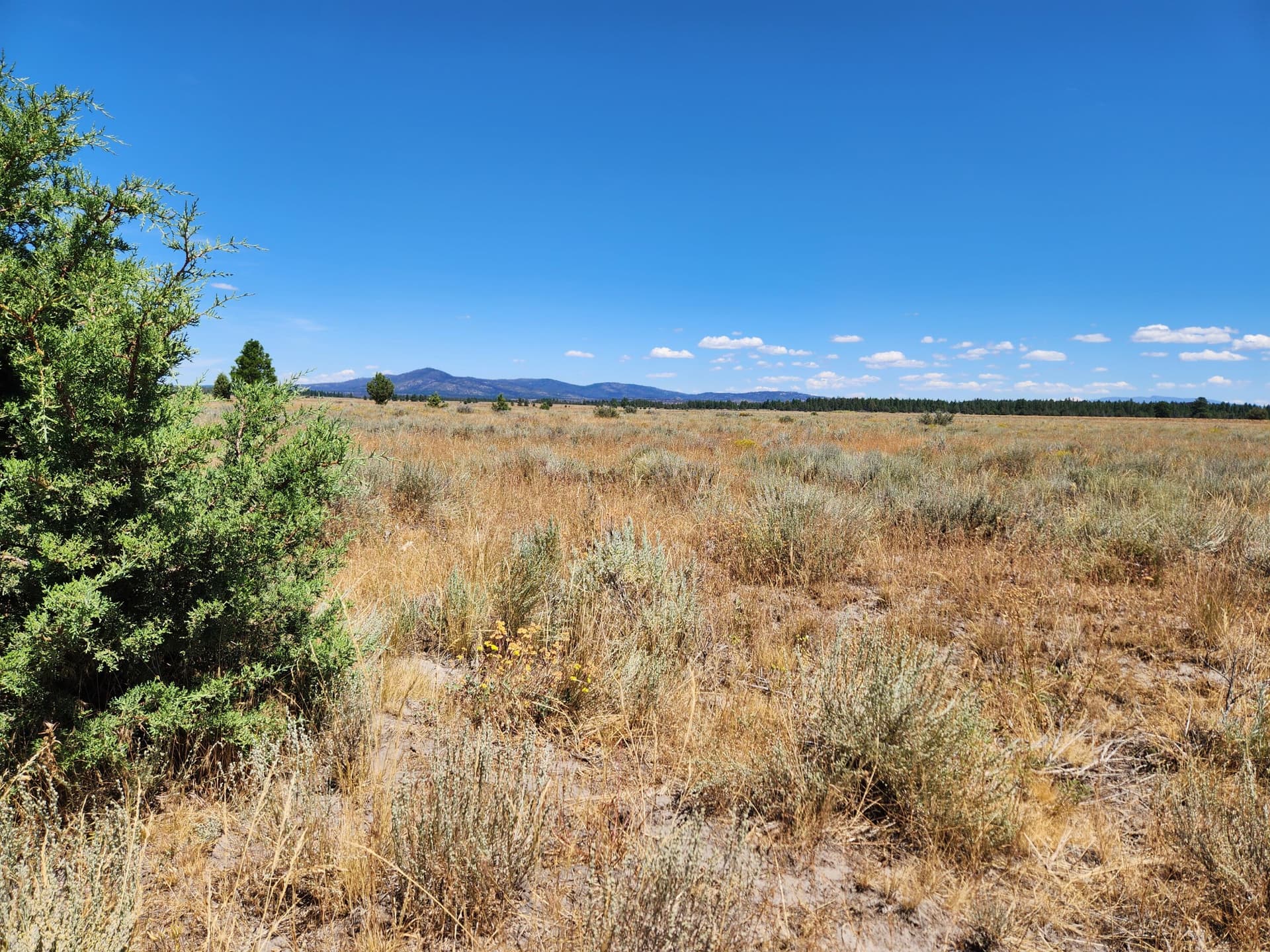 3. Photo 5 of 20, Tableland Road, Sprague River, OR 97639