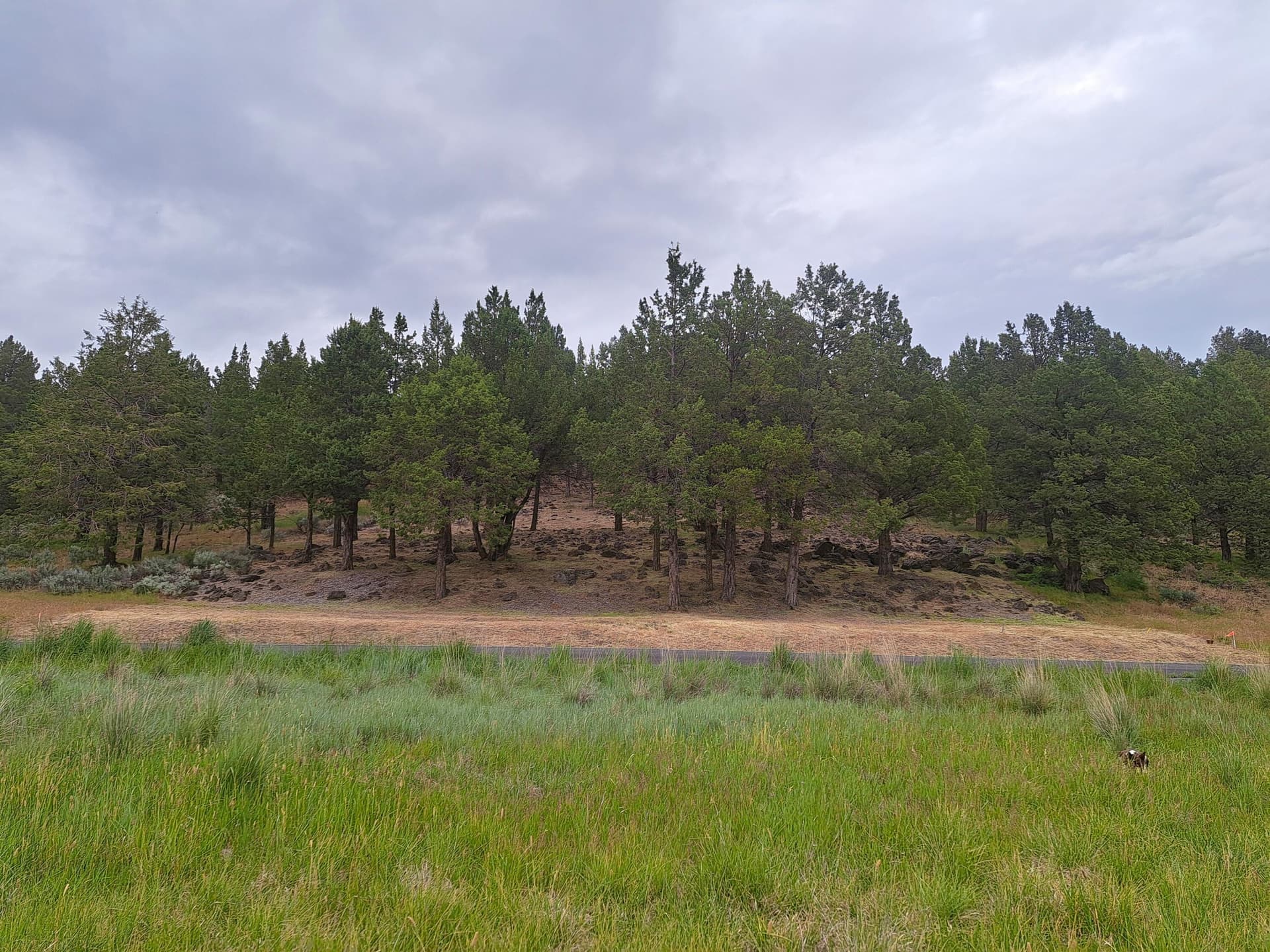 Lot. Photo 1 of 23, 0 Parula Drive Unit 1151, Klamath Falls, OR 97601