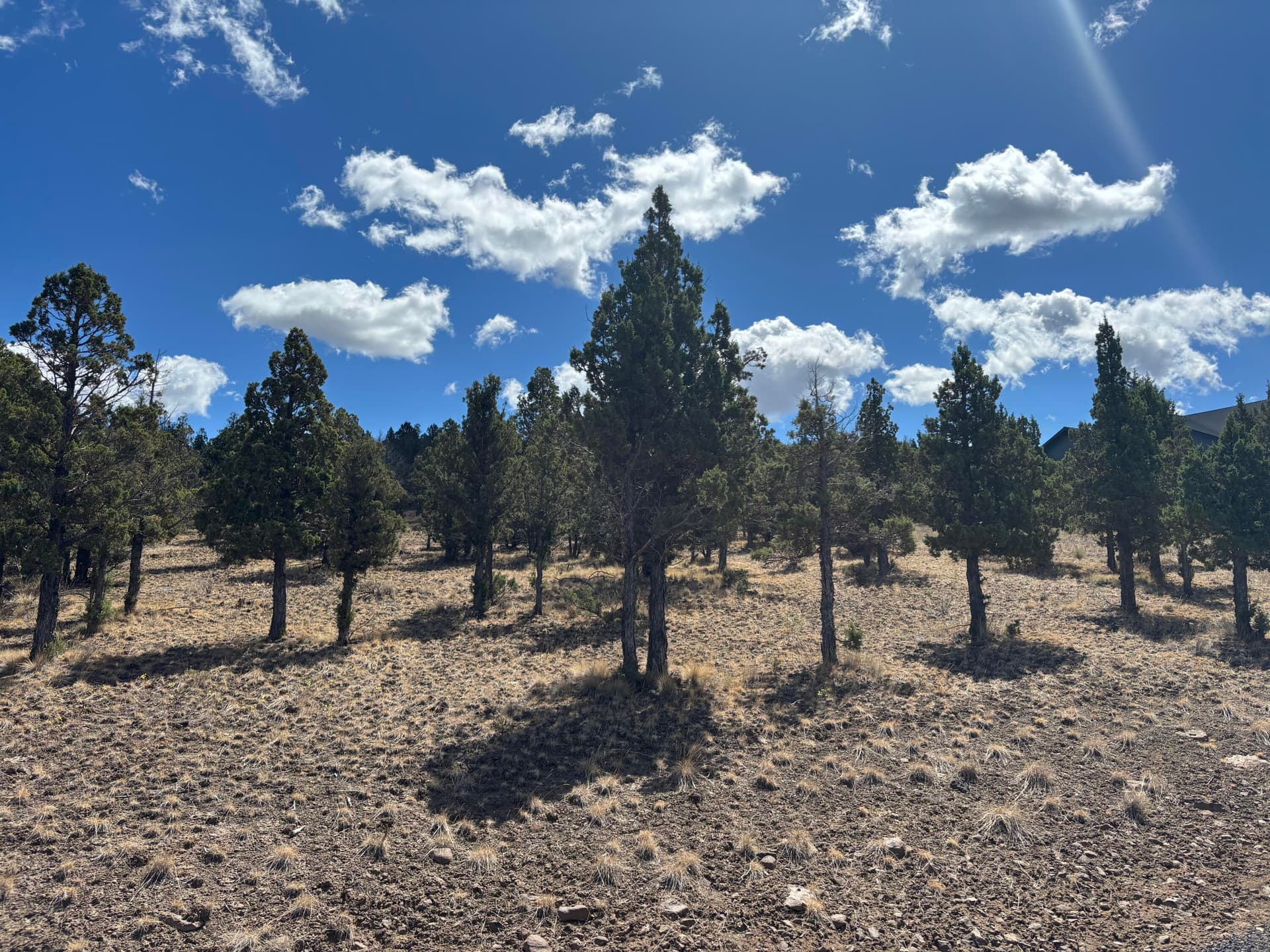 IMG_4834. Photo 4 of 13, 13092 SE Ethan Loop, Prineville, OR 97754