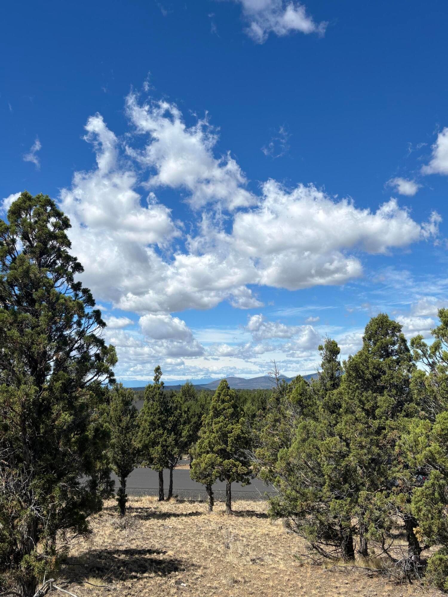 IMG_4836. Photo 3 of 13, 13092 SE Ethan Loop, Prineville, OR 97754