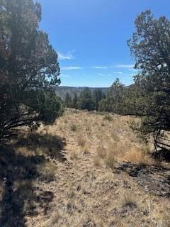 IMG_2892. Photo 3 of 10, SE Renegade Loop Unit Lot 17 & 18, Prineville, OR 97754