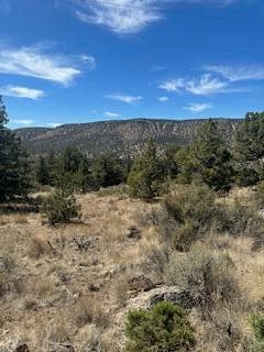 IMG_2894. Photo 5 of 10, SE Renegade Loop Unit Lot 17 & 18, Prineville, OR 97754
