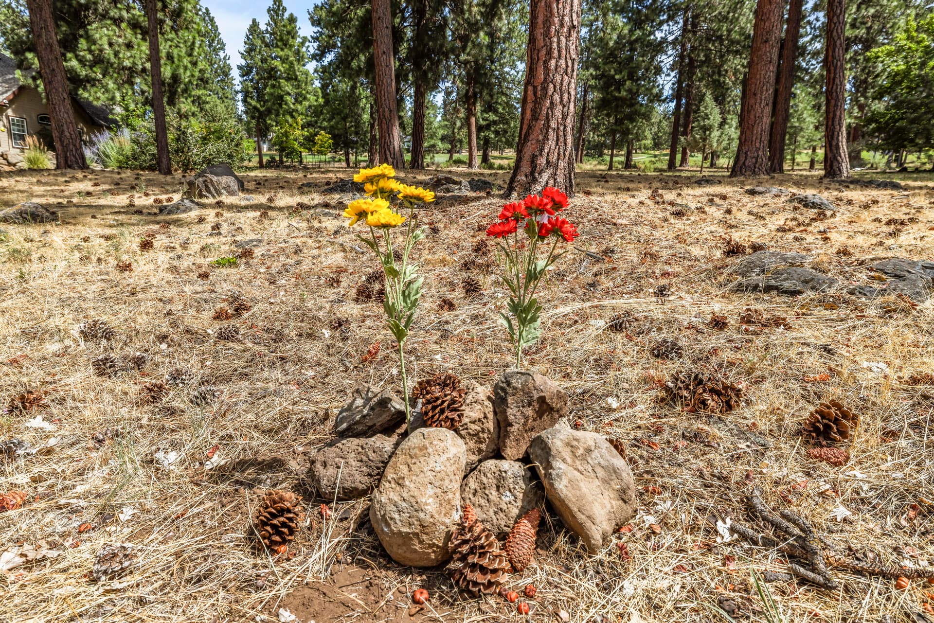 Lot64MerganserRd-4. Photo 1 of 16, 10697 Merganser Road Unit 62, Klamath Falls, OR 97601