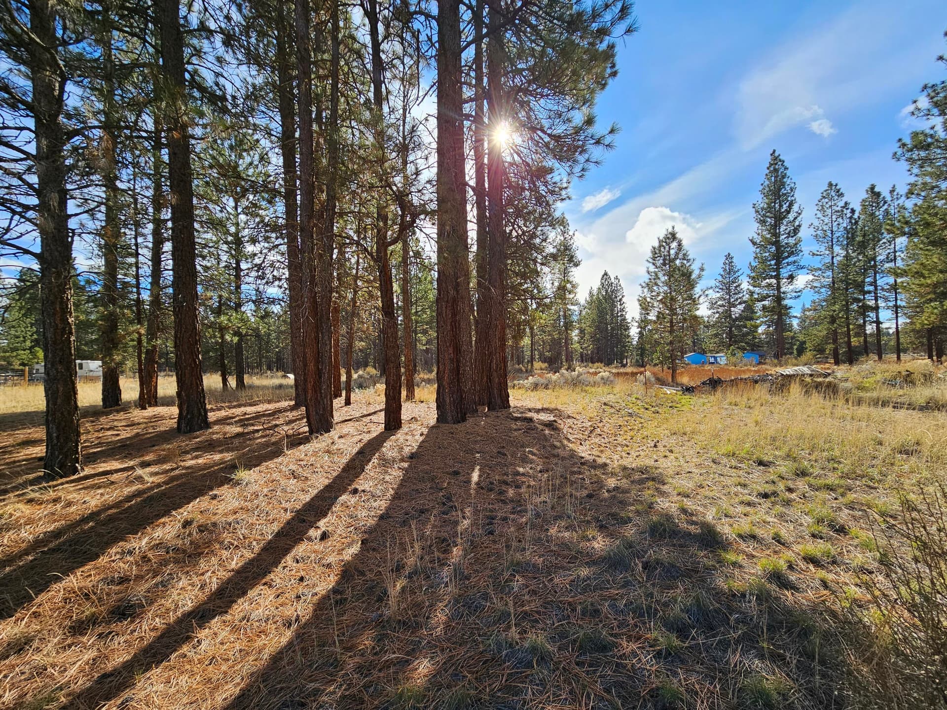 20231110_112757. Photo 4 of 19, 5117 Seagull Drive Unit #, Bonanza, OR 97623