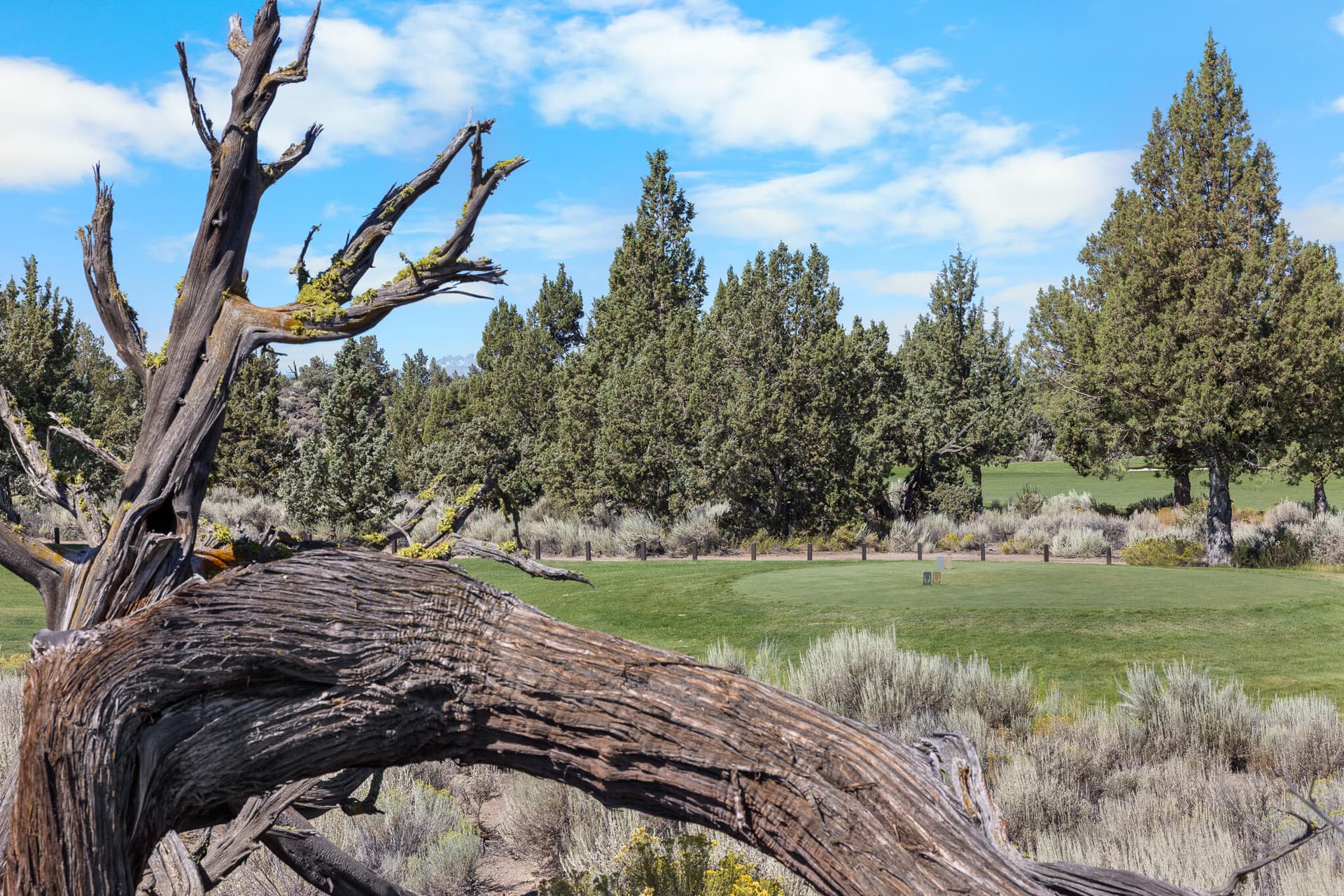 Course. Photo 4 of 18, 65765 Pronghorn Estates Drive Unit #24, Bend, OR 97701