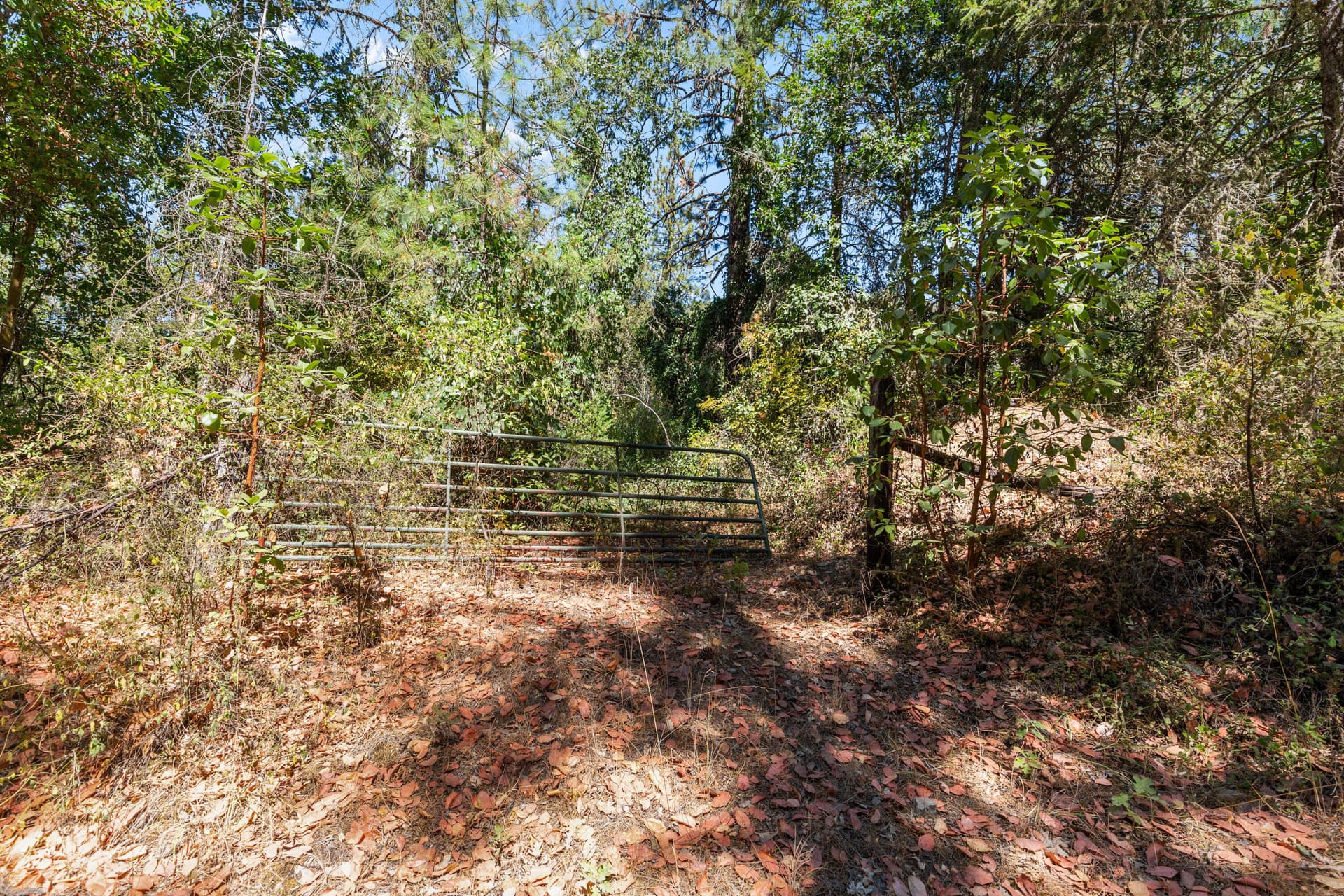 CU9A4934. Photo 4 of 10, 0 Hogan Road, Applegate, OR 97530