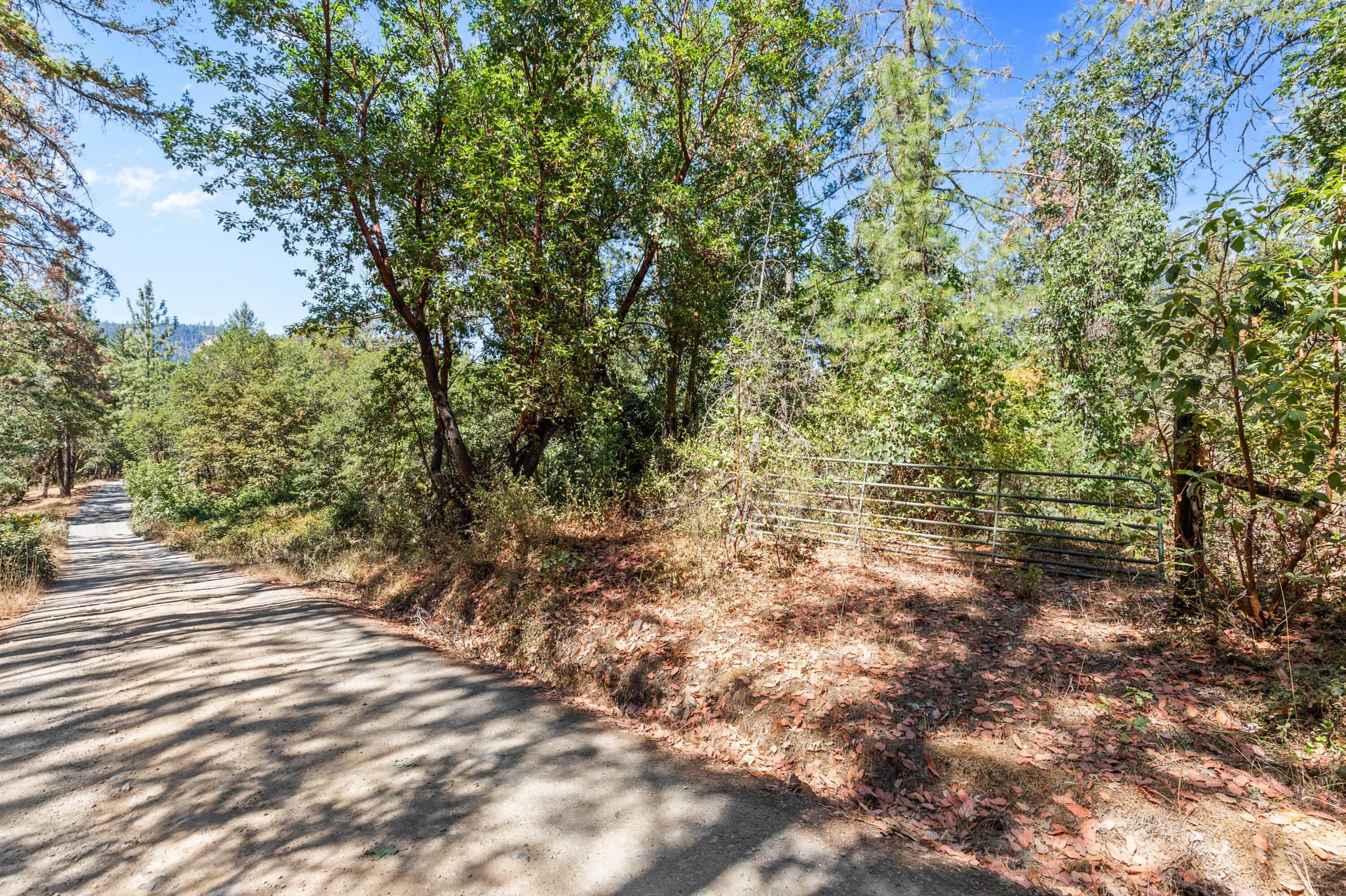 CU9A4937. Photo 1 of 10, 0 Hogan Road, Applegate, OR 97530