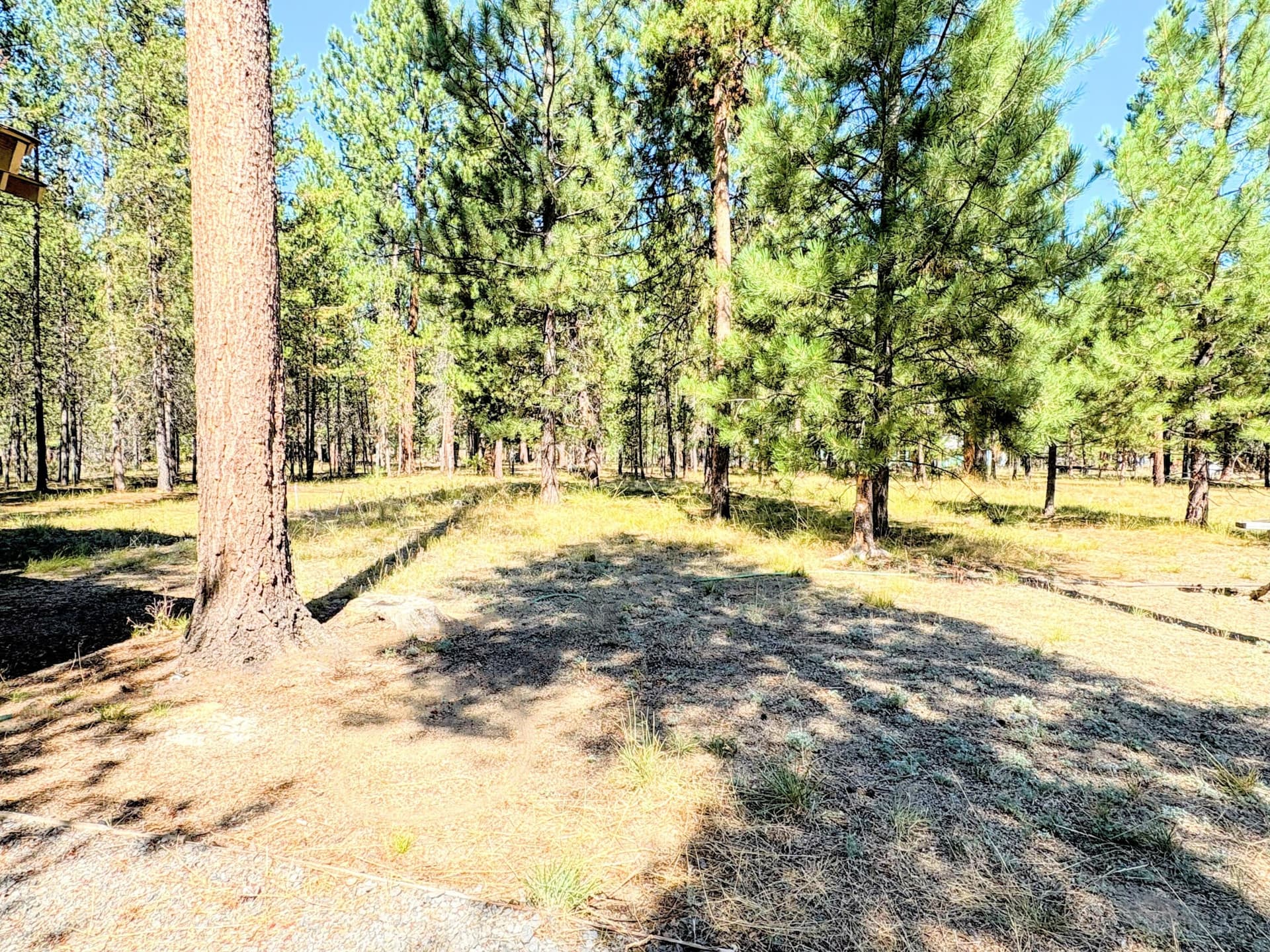 IMG_1733. Photo 5 of 21, 1225 Hackett Drive, La Pine, OR 97739