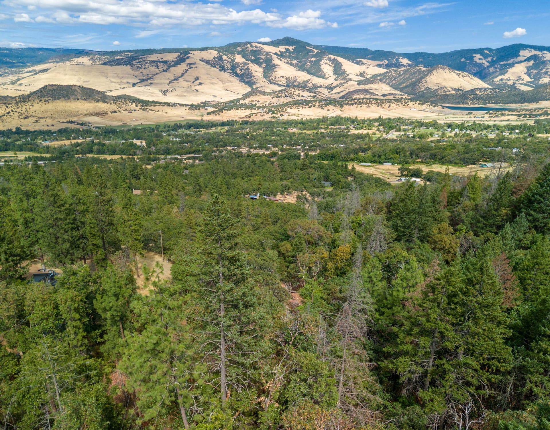 ApxTD00001. Photo 1 of 20, Timberlake Drive Unit 391E25 132, Ashland, OR 97520