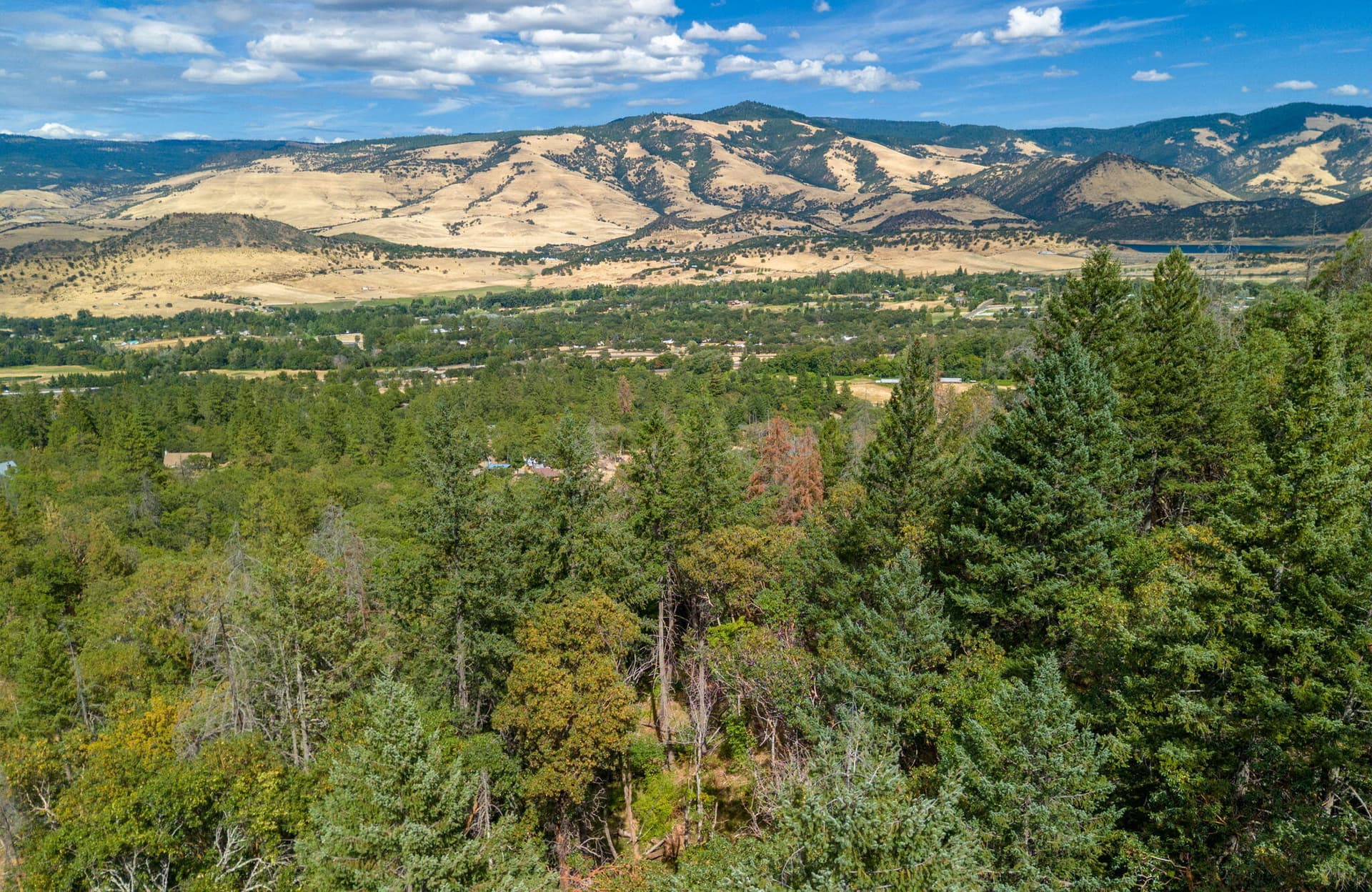 ApxTD00004. Photo 3 of 20, Timberlake Drive Unit 391E25 132, Ashland, OR 97520