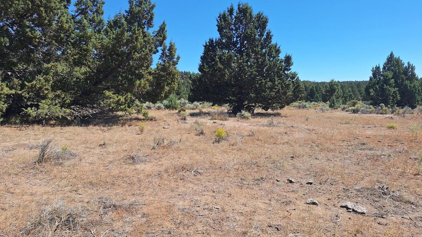 5. Photo 4 of 8, 400 GoldenView Ranch Unit 400, Bend, OR 97701