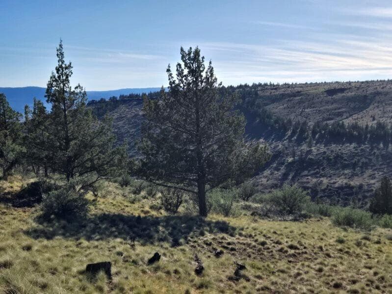 Miller Ranch Terrain - Copy. Photo 3 of 12, Marks Creek Road, Mount Vernon, OR 97865