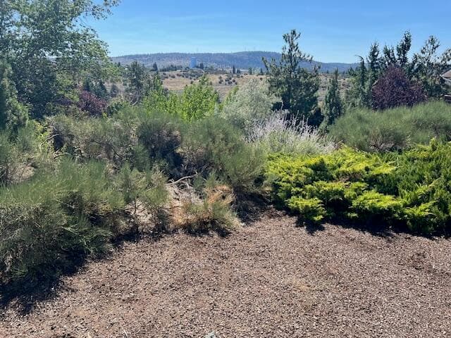 IMG_7281. Photo 1 of 1, 1600 Ridgecrest Drive, Klamath Falls, OR 97601