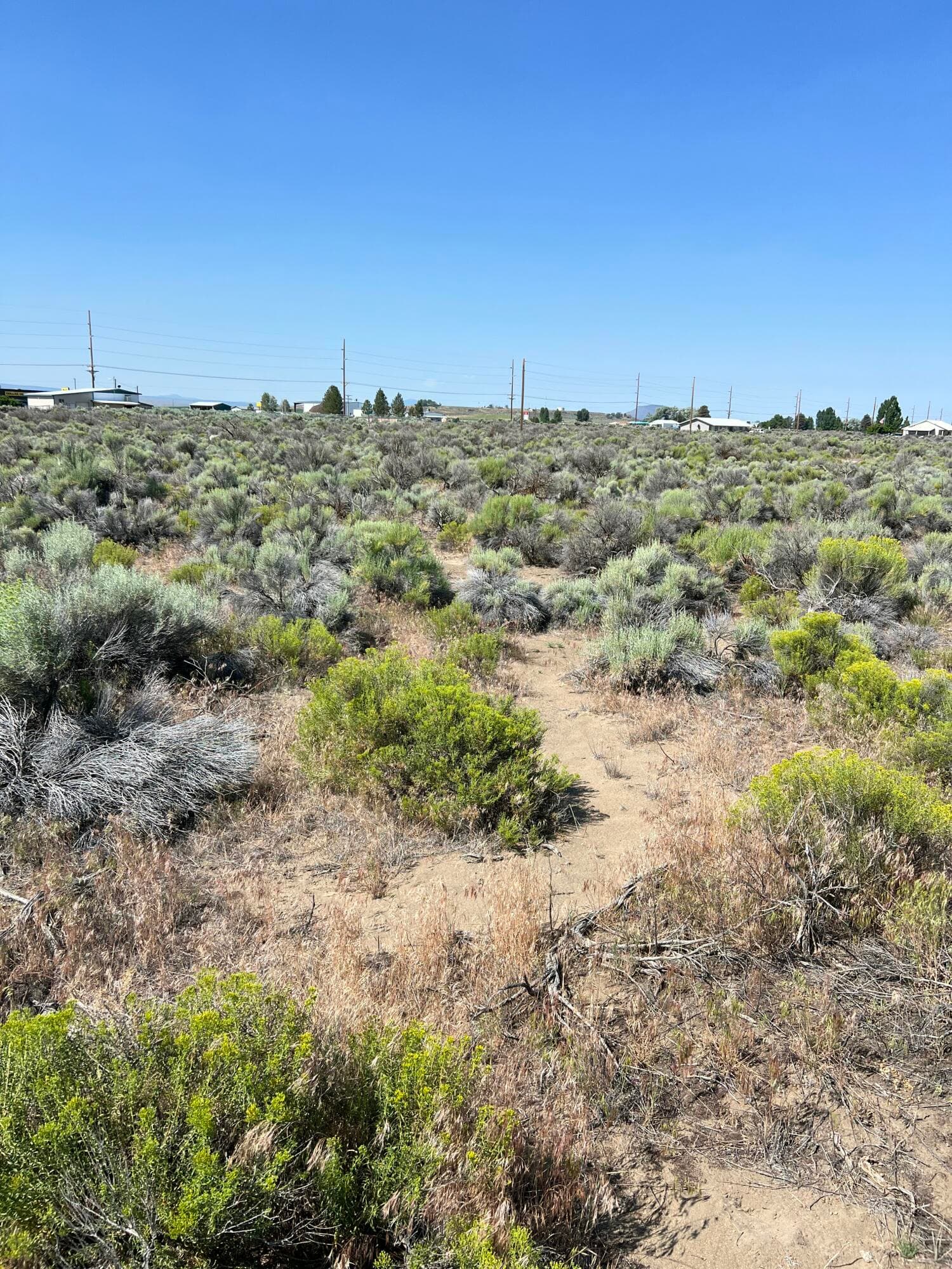 IMG_5170. Photo 2 of 6, 000 Larch St., Christmas Valley, OR 97641