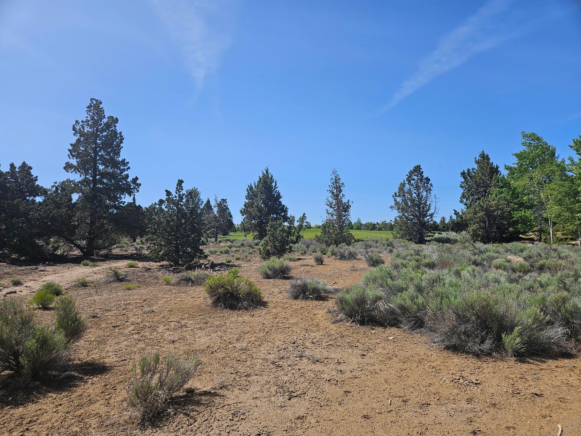 20240526_104312. Photo 2 of 23, 23031 Brushline Court Unit Lot 120, Bend, OR 97701