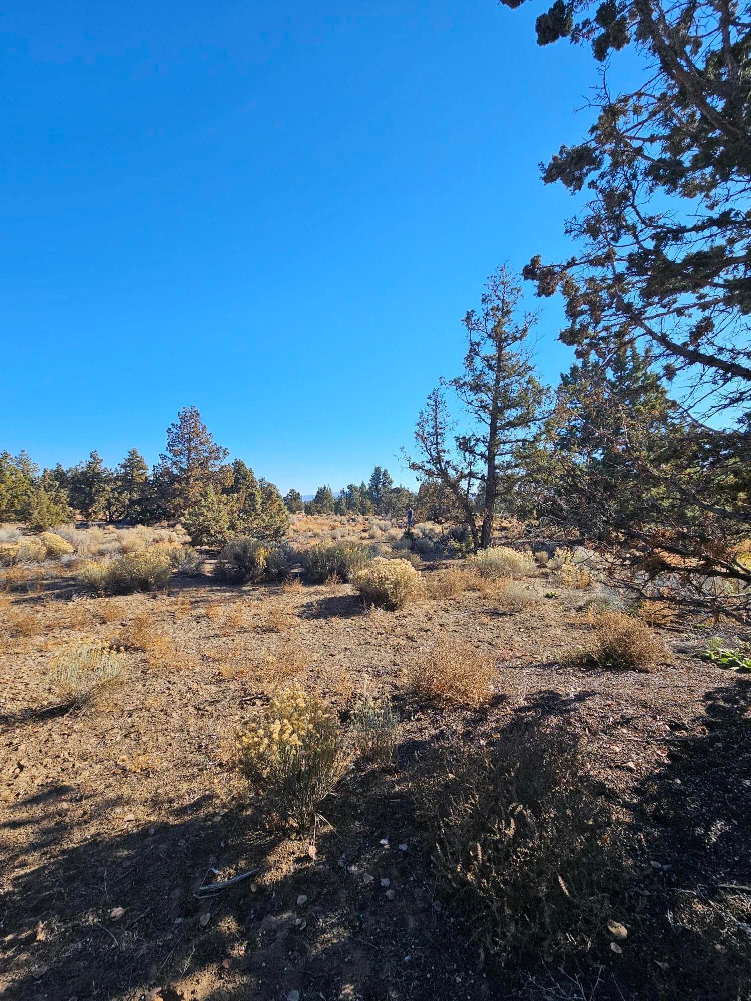 20231028_111238. Photo 3 of 23, 23031 Brushline Court Unit Lot 120, Bend, OR 97701