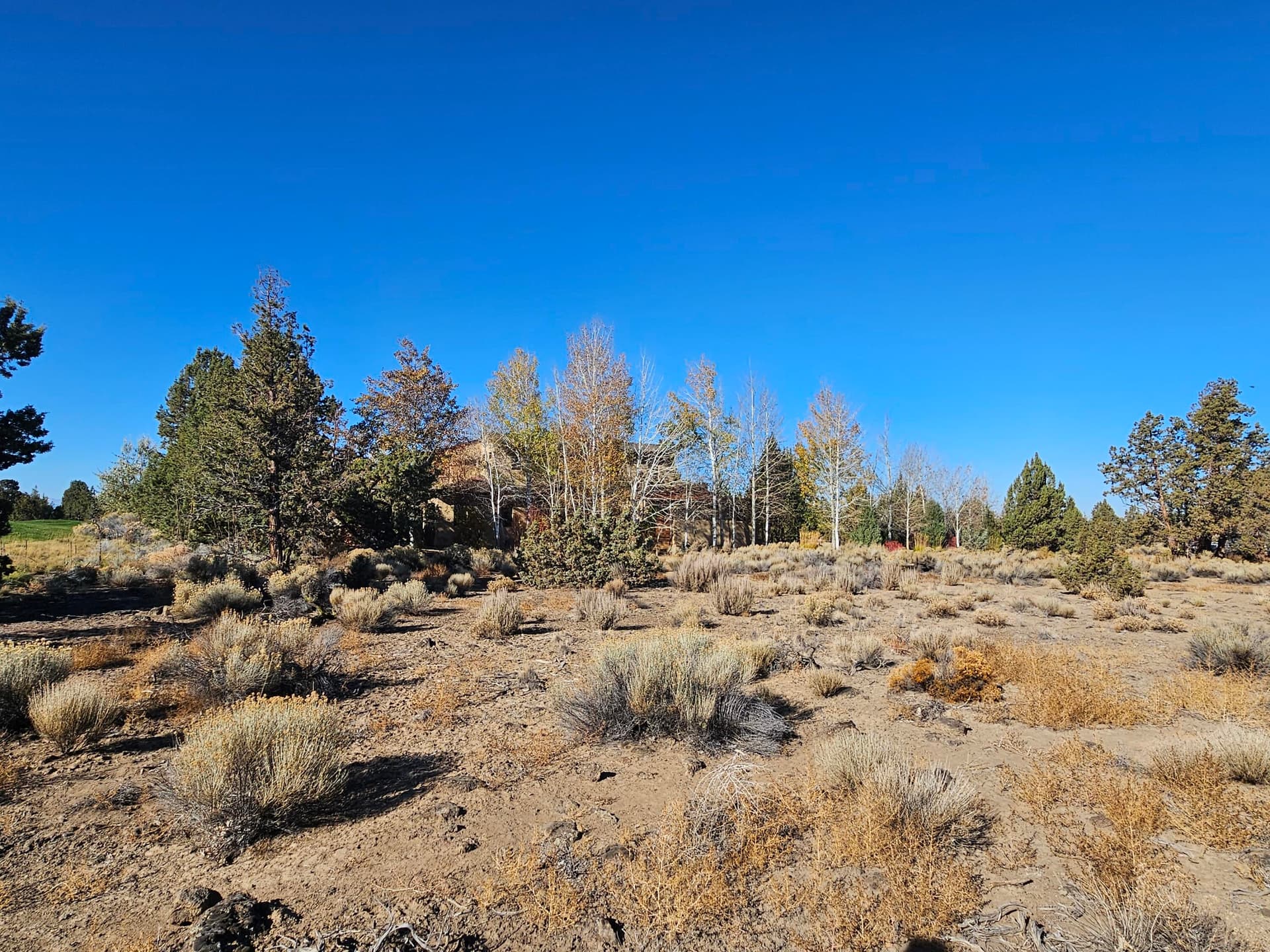 20231028_111132. Photo 4 of 23, 23031 Brushline Court Unit Lot 120, Bend, OR 97701