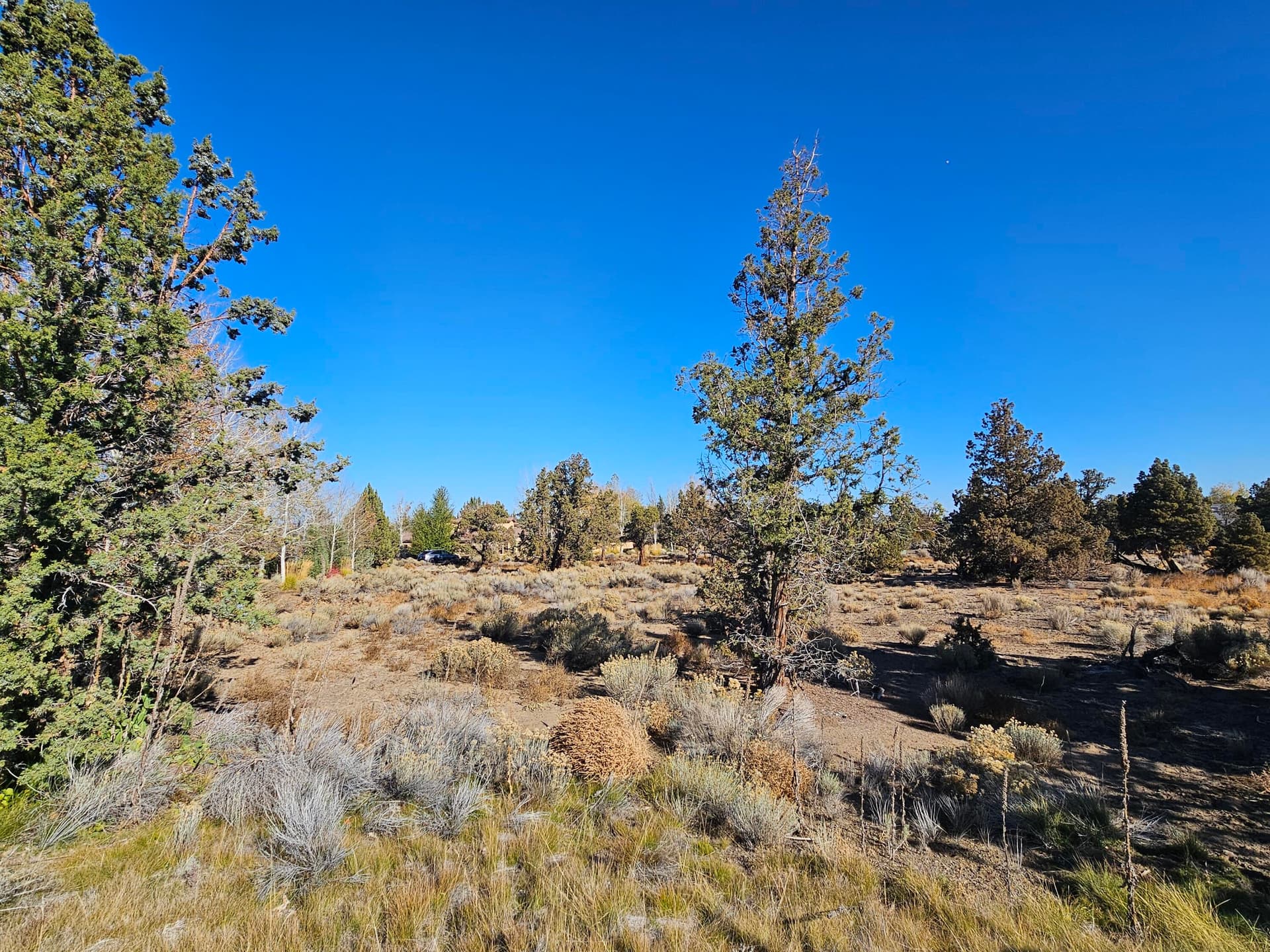 20231028_110817. Photo 5 of 23, 23031 Brushline Court Unit Lot 120, Bend, OR 97701