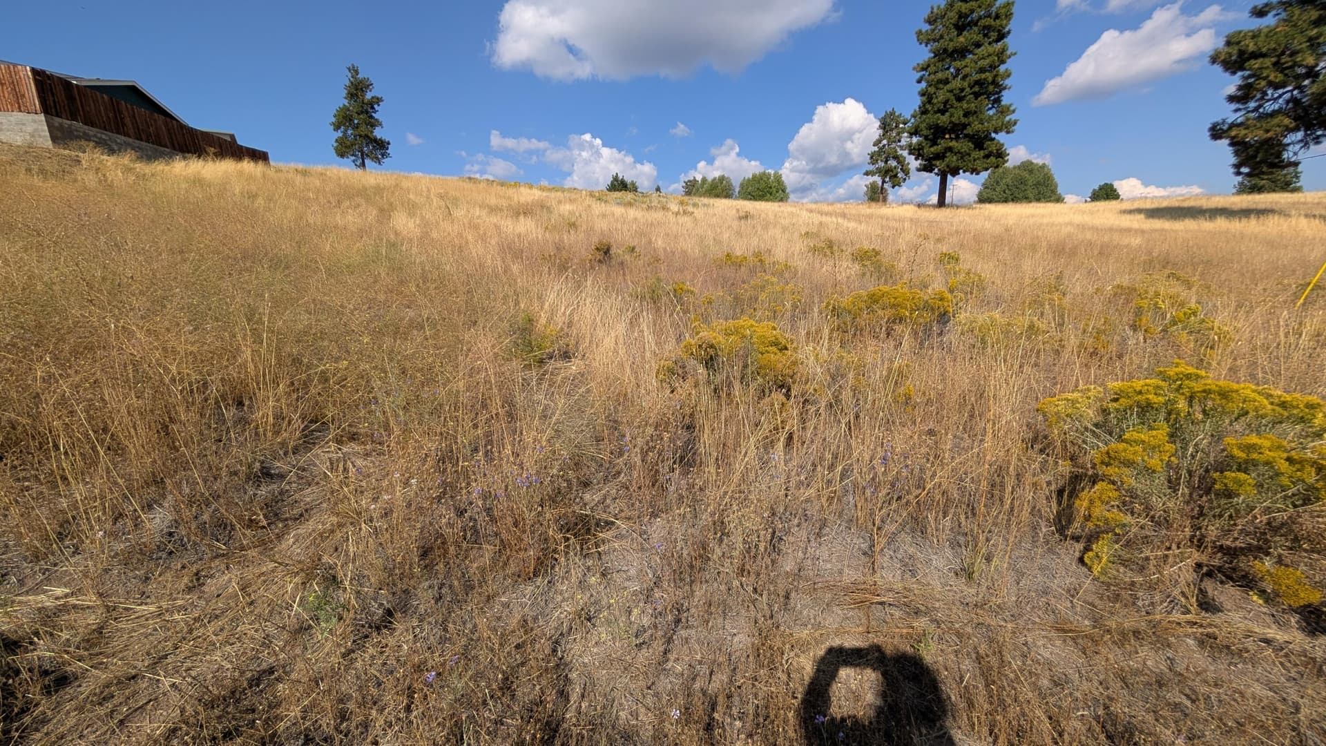 1000007676. Photo 2 of 5, Cloutier Drive Unit 8, Chiloquin, OR 97624