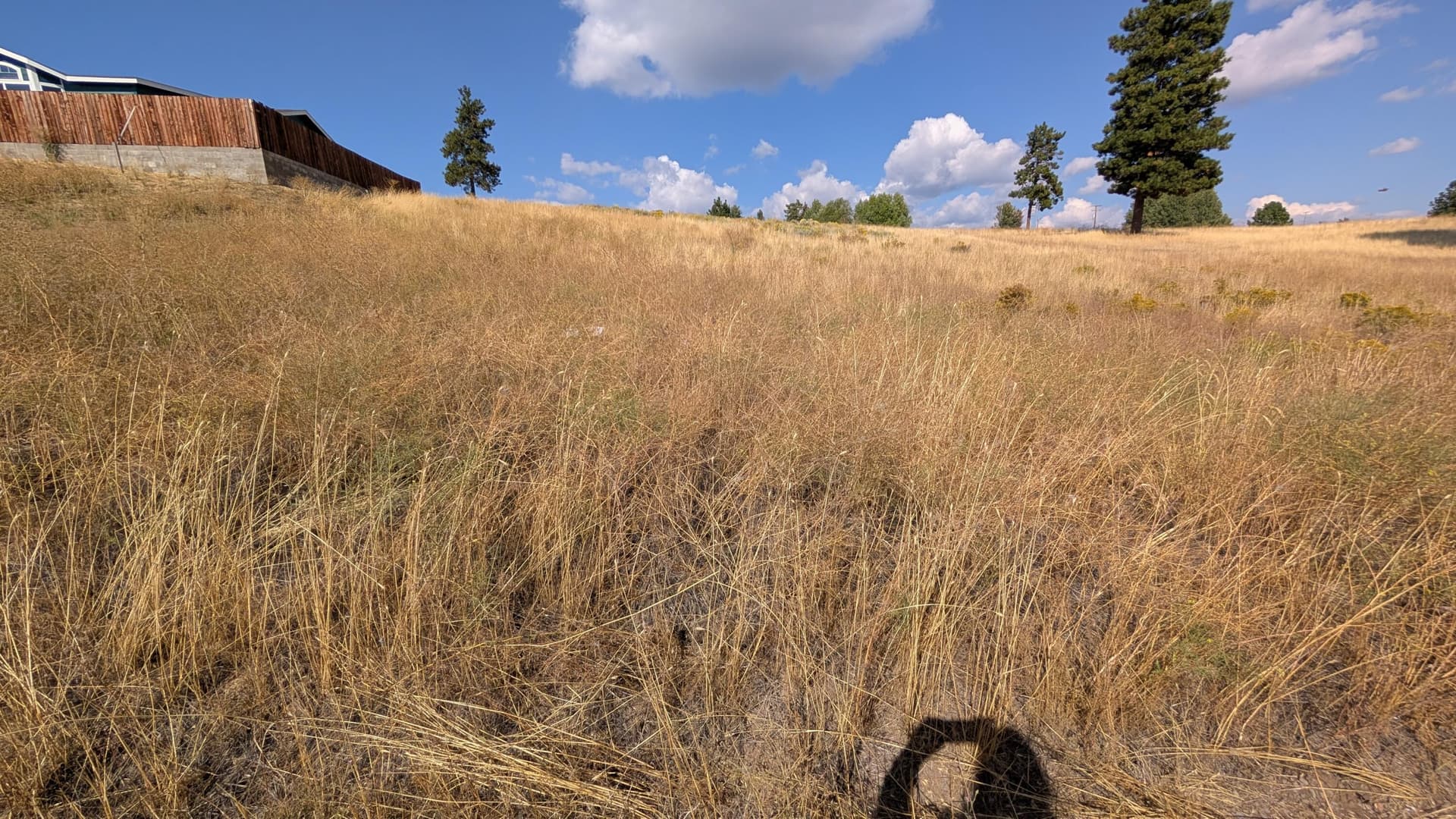1000007675. Photo 3 of 5, Cloutier Drive Unit 8, Chiloquin, OR 97624