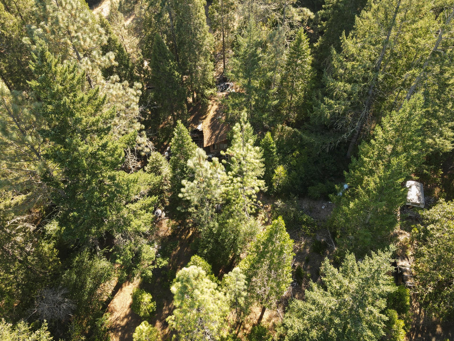 DJI_0050. Photo 5 of 9, 260 Warren Road, Selma, OR 97538