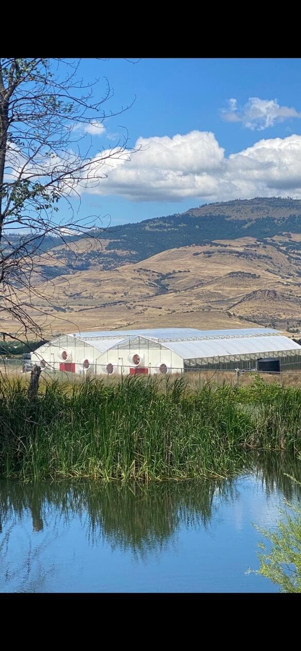 IMG_3309. Photo 1 of 17, 420 Reiten Drive, Ashland, OR 97520