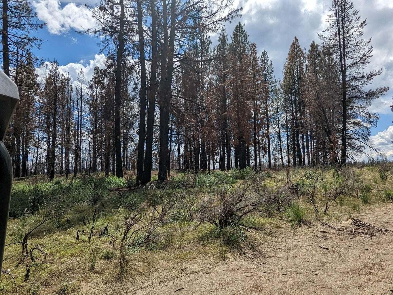 1. Photo 1 of 6, 0 Bull Pine Road, Bly, OR 97622