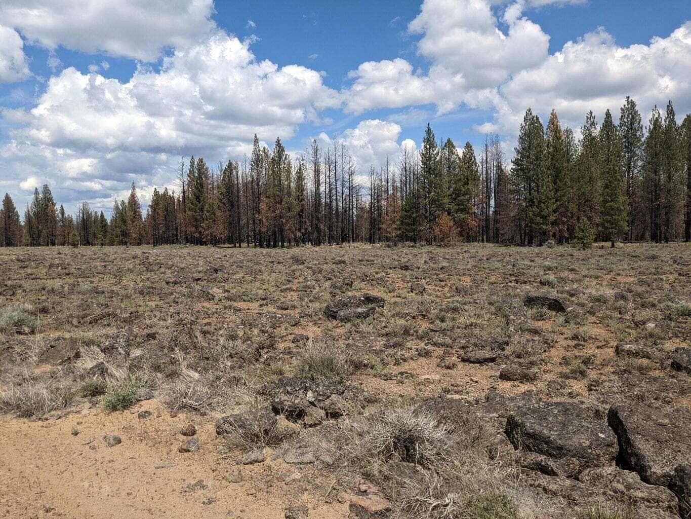 3. Photo 3 of 6, 0 Bull Pine Road, Bly, OR 97622