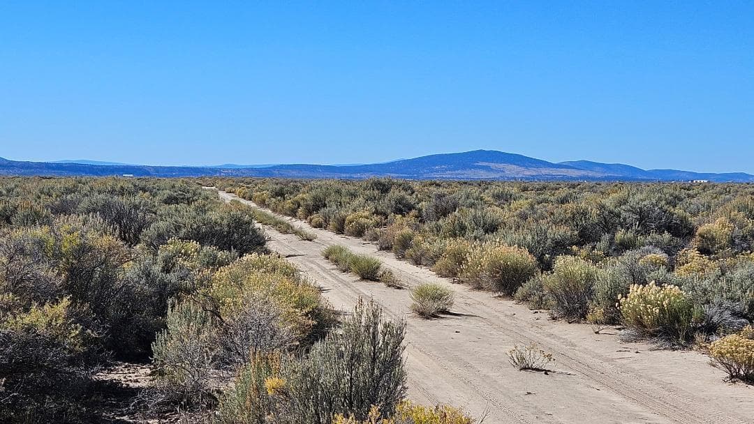 Cuellar road. Photo 5 of 5, off Twilight Road Unit TL 1700, Christmas Valley, OR 97641