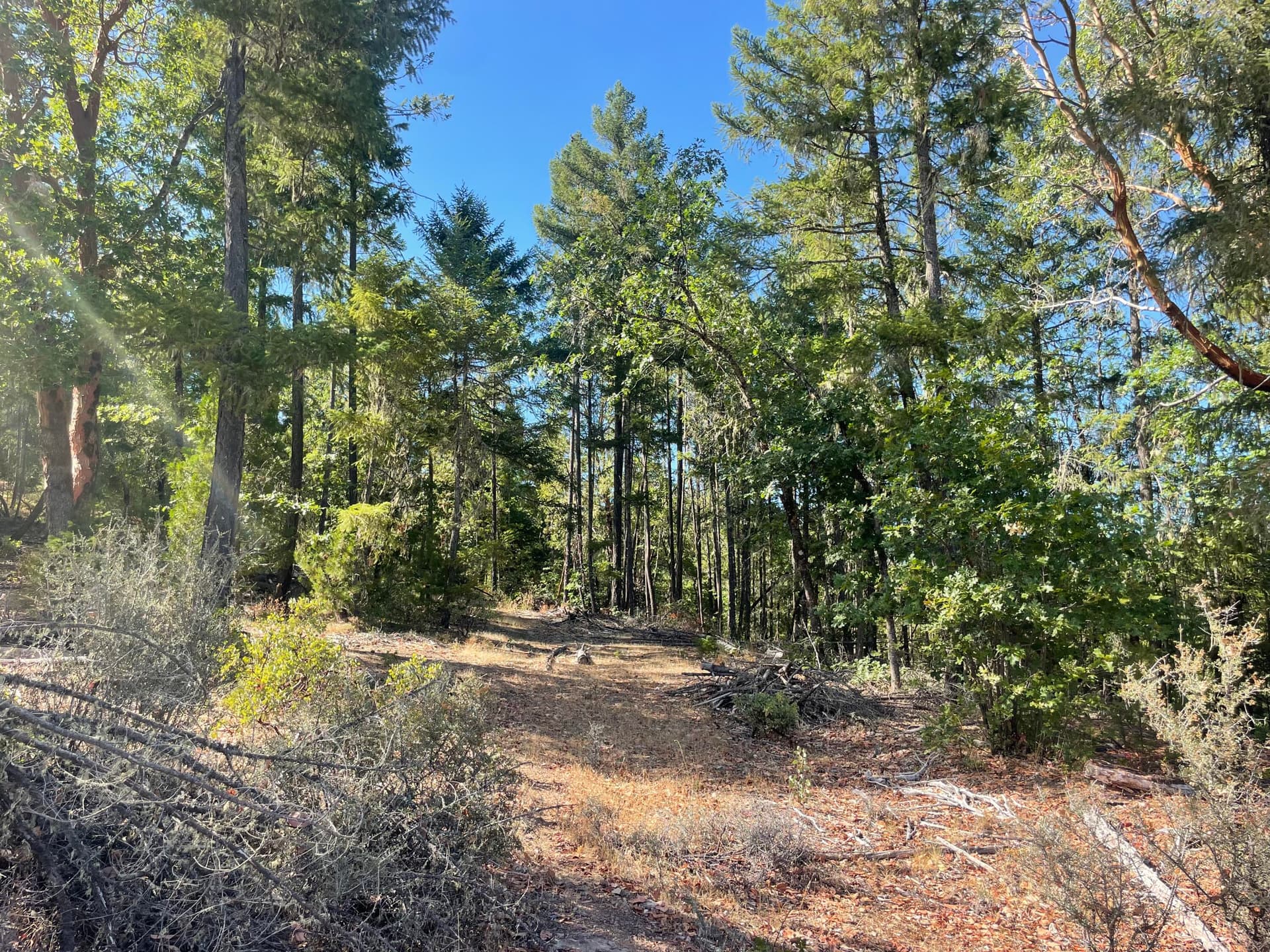 IMG_8337. Photo 2 of 5, Loper Lane, Trail, OR 97541