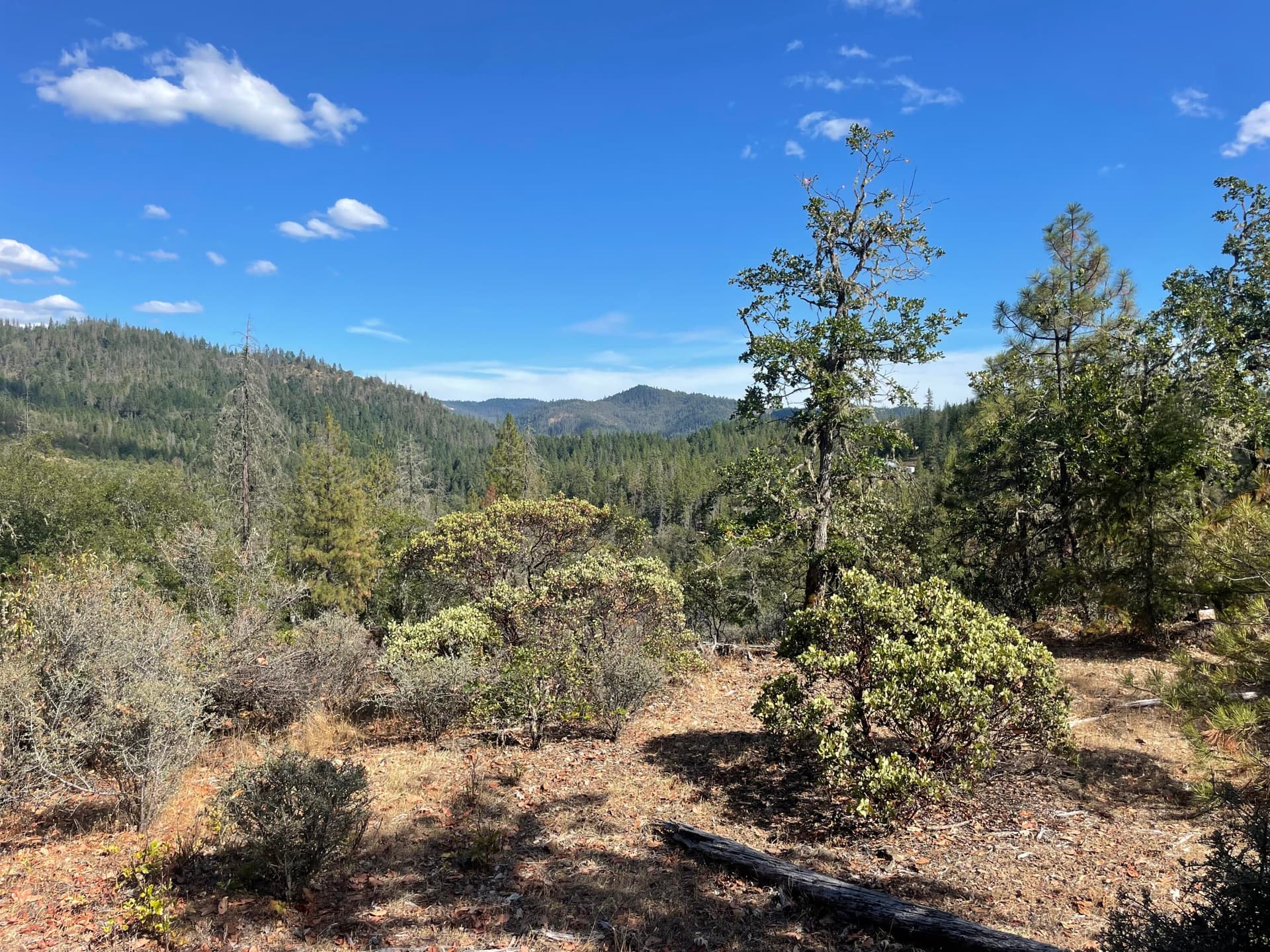 IMG_8336. Photo 1 of 5, Loper Lane, Trail, OR 97541