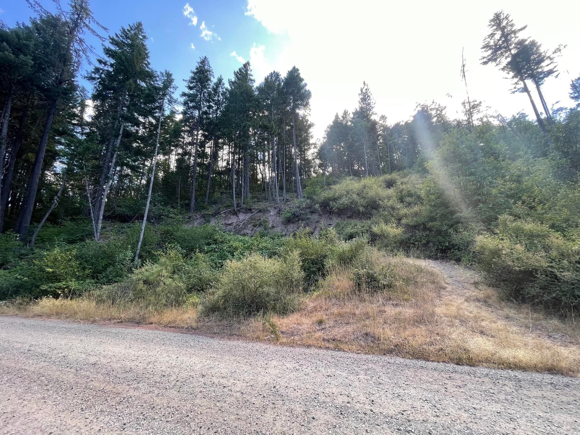 IMG_8333. Photo 3 of 5, Loper Lane, Trail, OR 97541