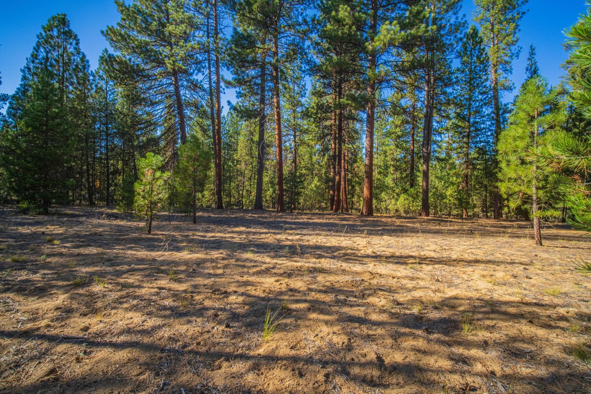 Lot. Photo 3 of 34, 53582 Brookie Way, La Pine, OR 97739