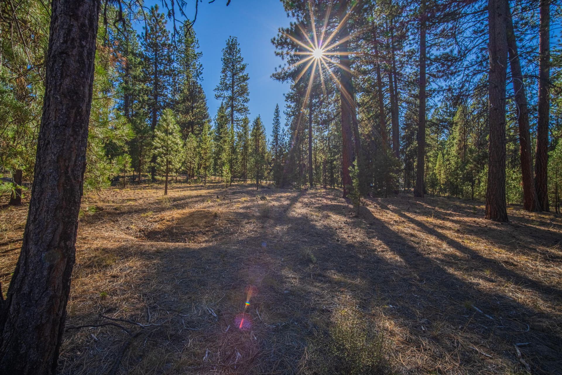 Lot. Photo 4 of 34, 53582 Brookie Way, La Pine, OR 97739
