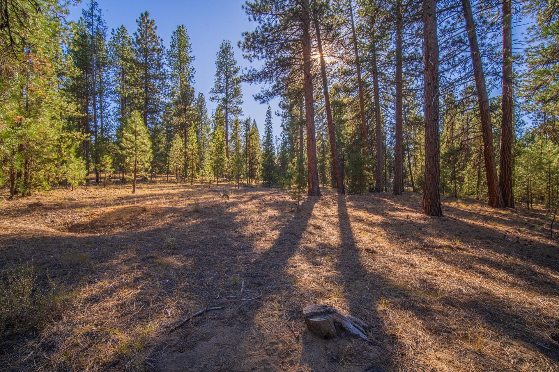 Lot. Photo 5 of 34, 53582 Brookie Way, La Pine, OR 97739