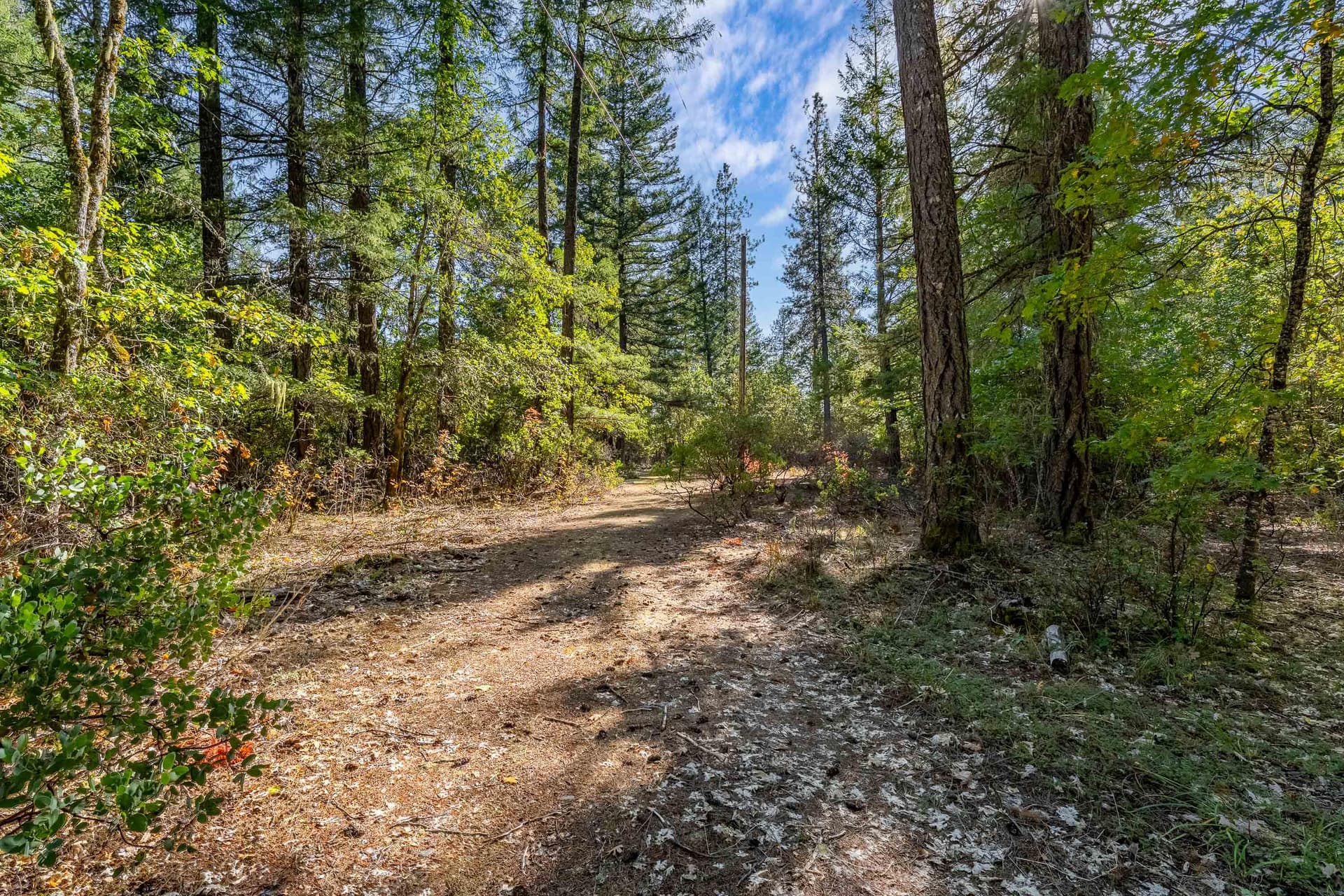 EXT (1 of 6). Photo 4 of 10, 305 Floyd Lane, Cave Junction, OR 97523