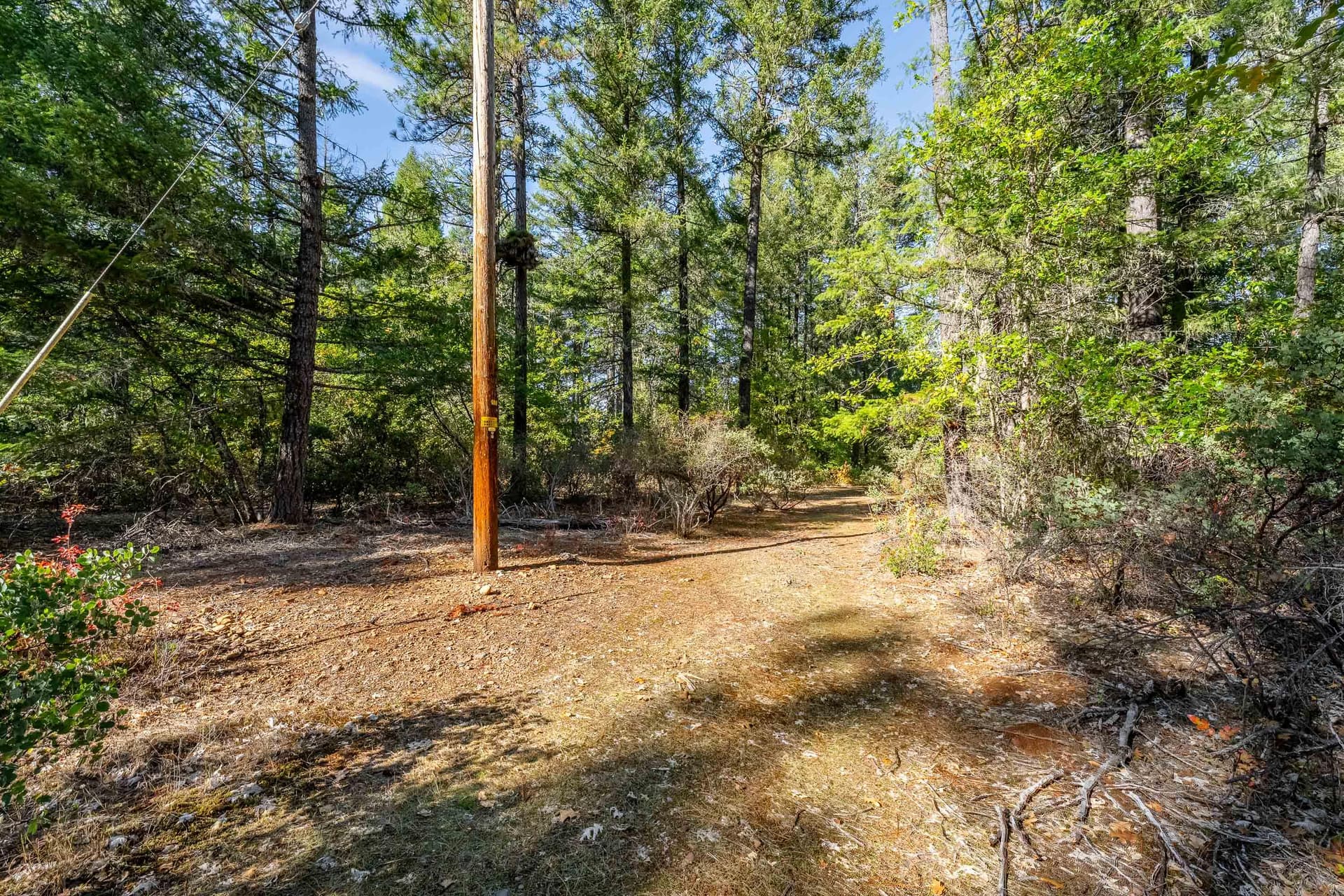 EXT (2 of 6). Photo 1 of 10, 305 Floyd Lane, Cave Junction, OR 97523