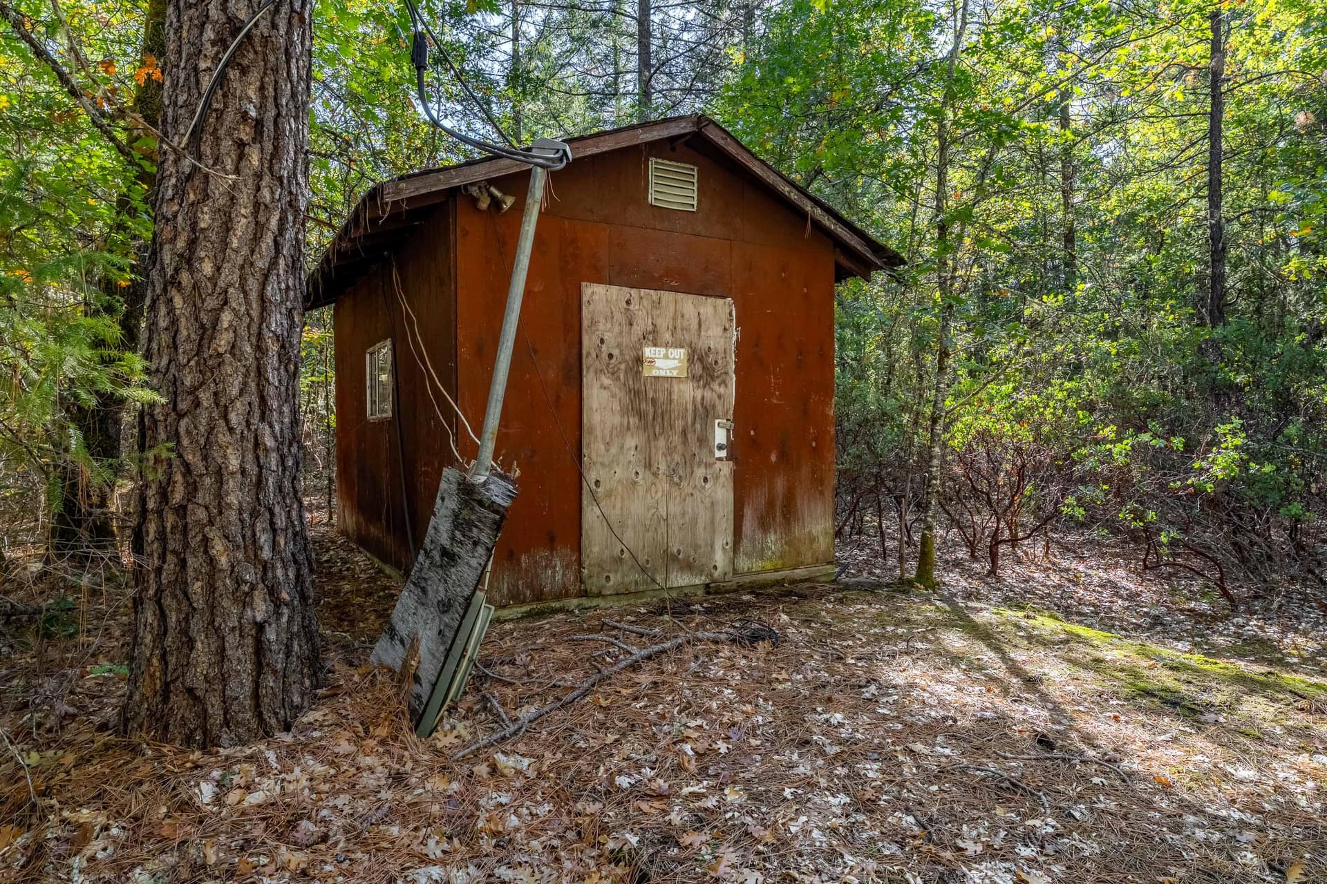 EXT (3 of 6). Photo 3 of 10, 305 Floyd Lane, Cave Junction, OR 97523