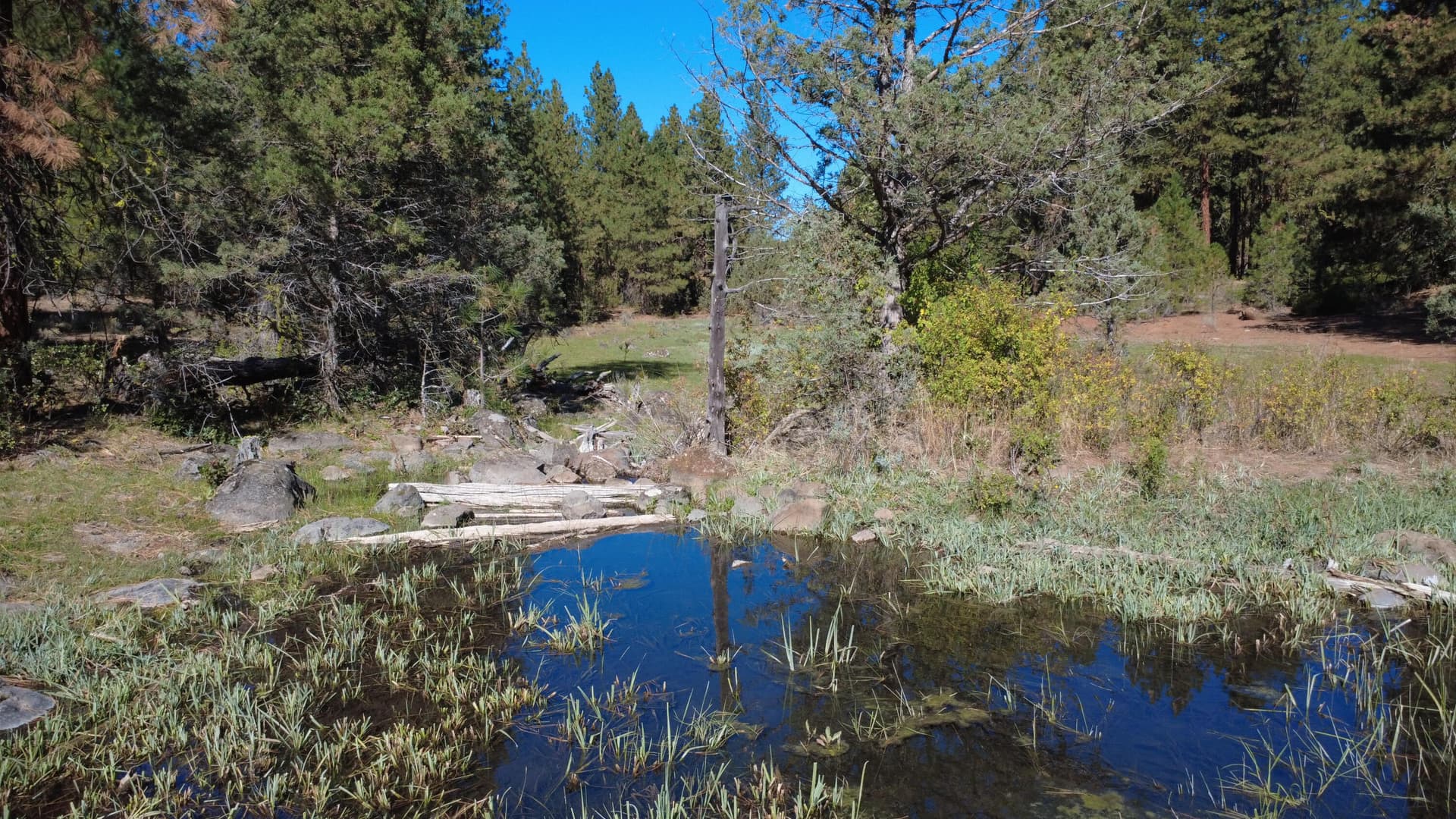 Seasonal Pond. Photo 2 of 81, 0 Hadwick Topsy Property, Klamath Falls, OR 97601